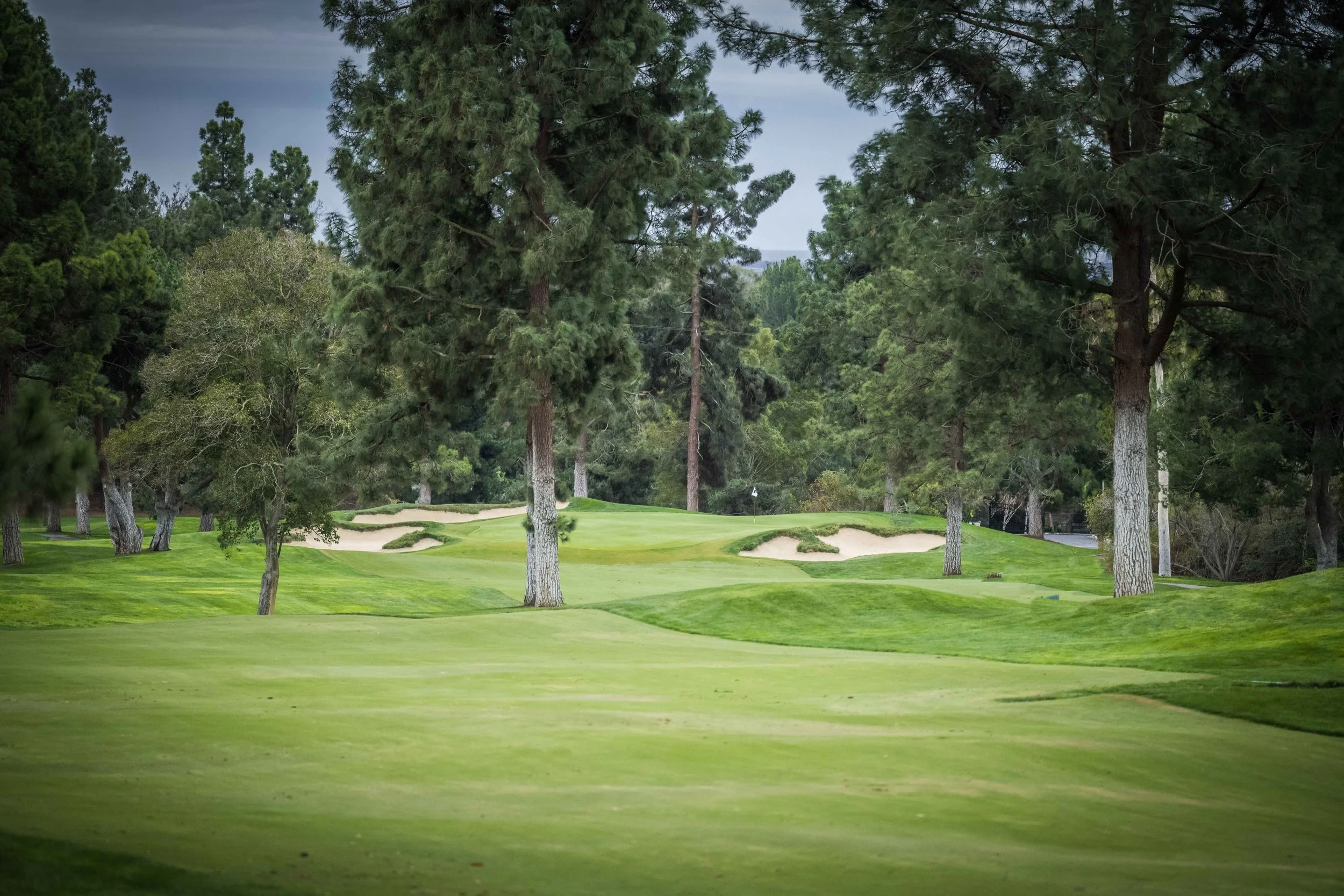 Saticoy Club_11.jpg