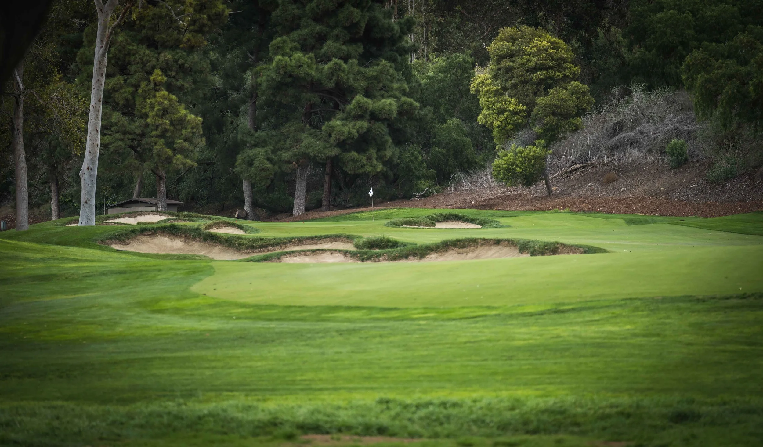 Saticoy Club_3.jpg