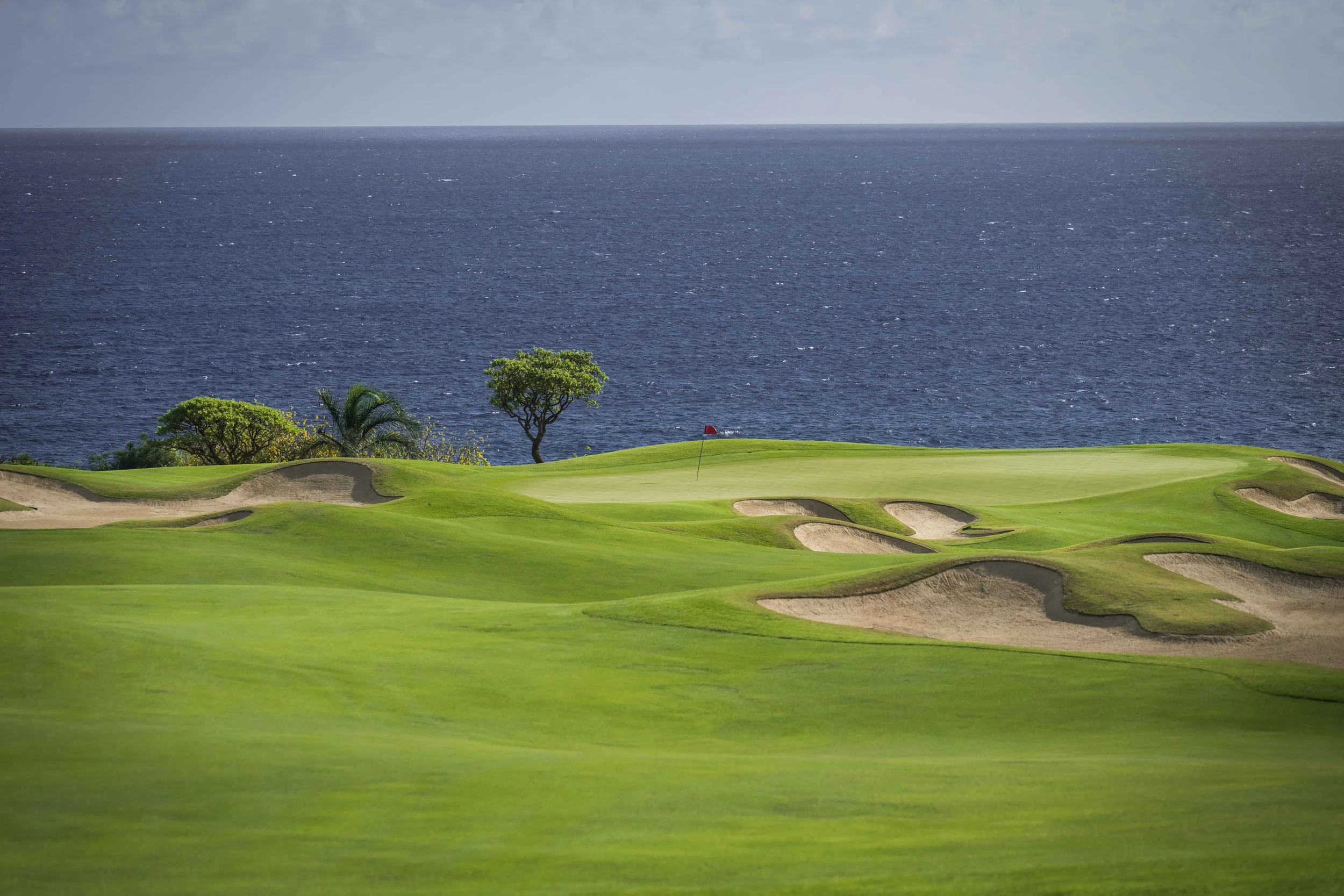 Kukuiula - 2021_4.jpg