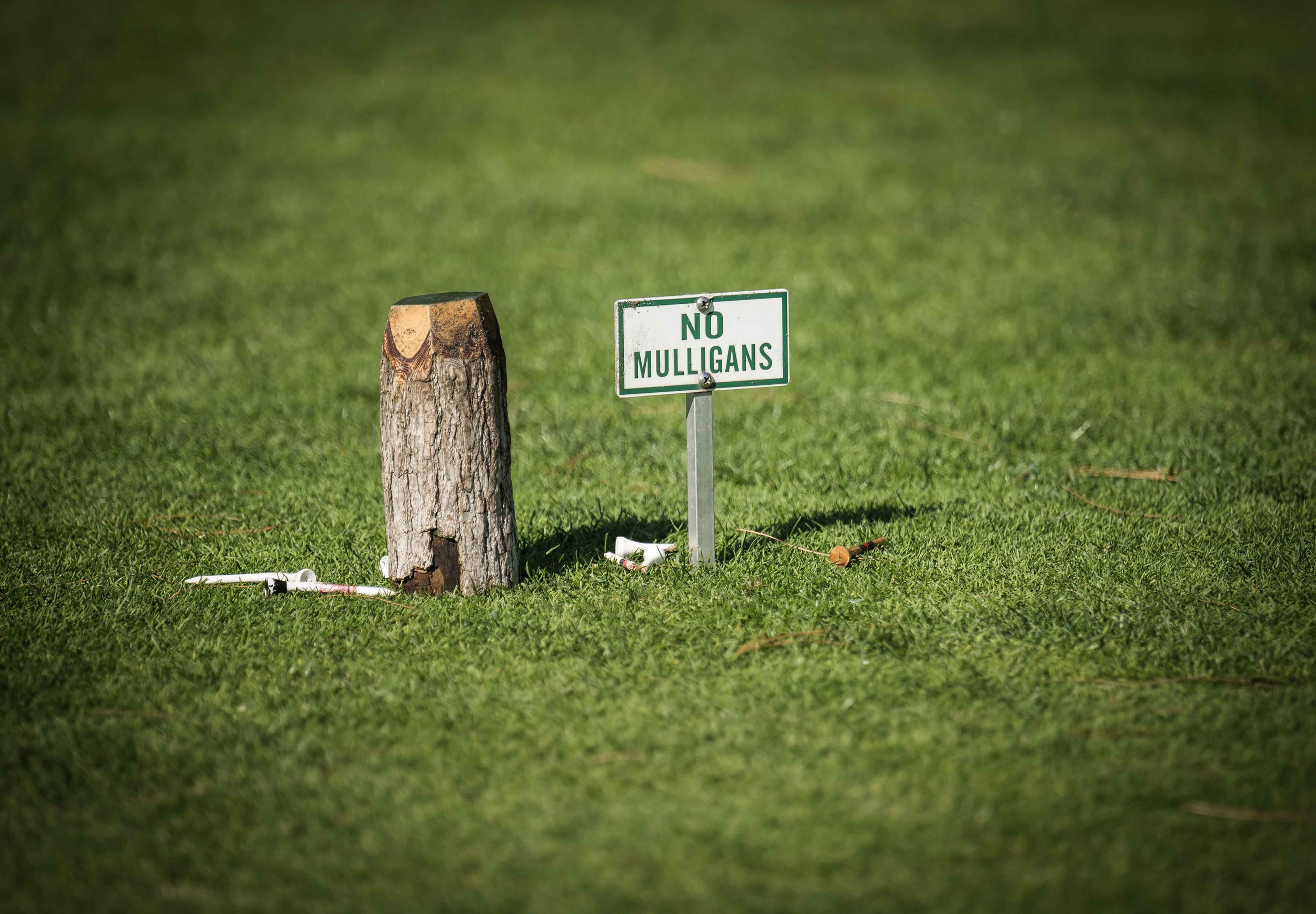 Pine Valley_1.jpg