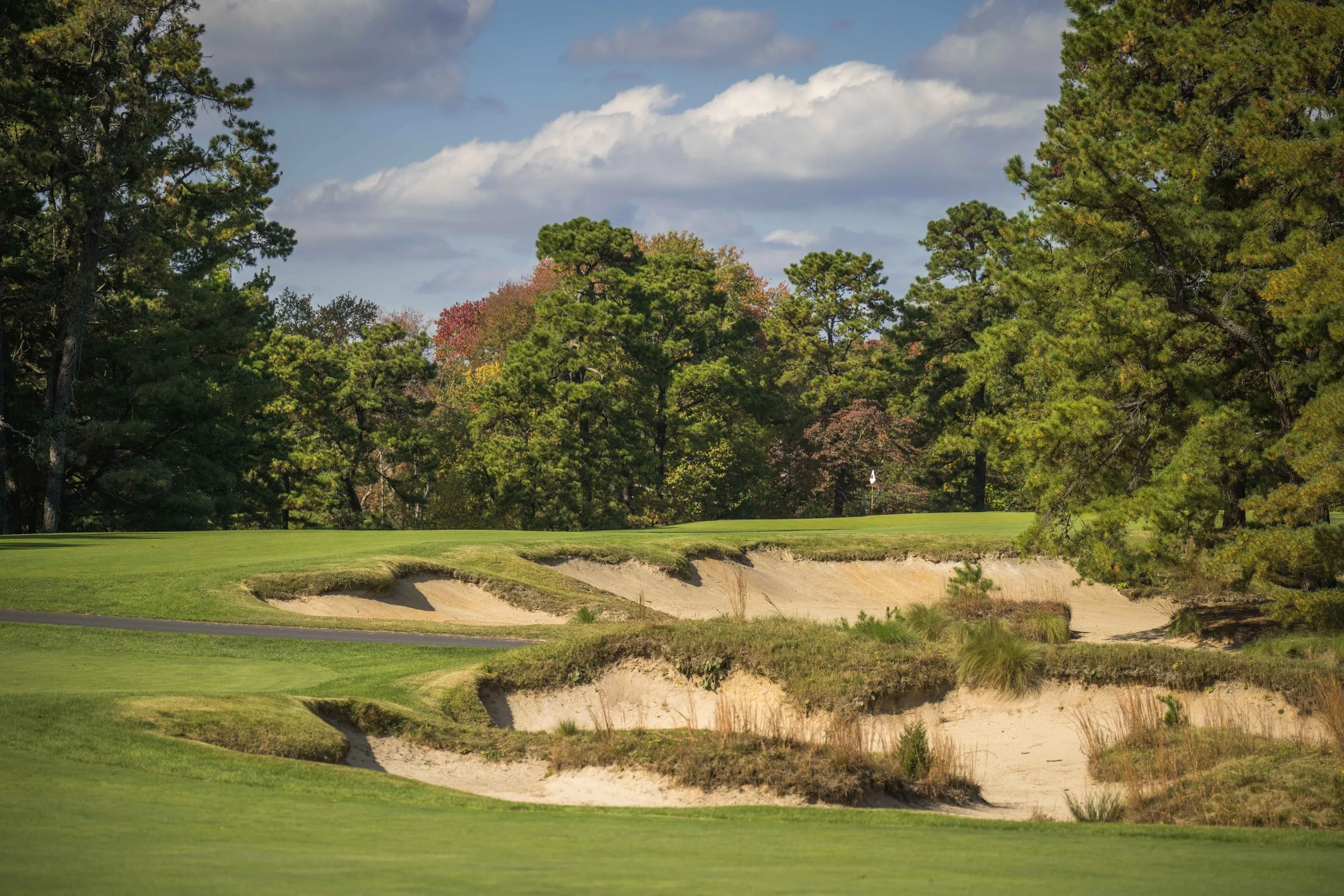 Pine Valley_6.jpg