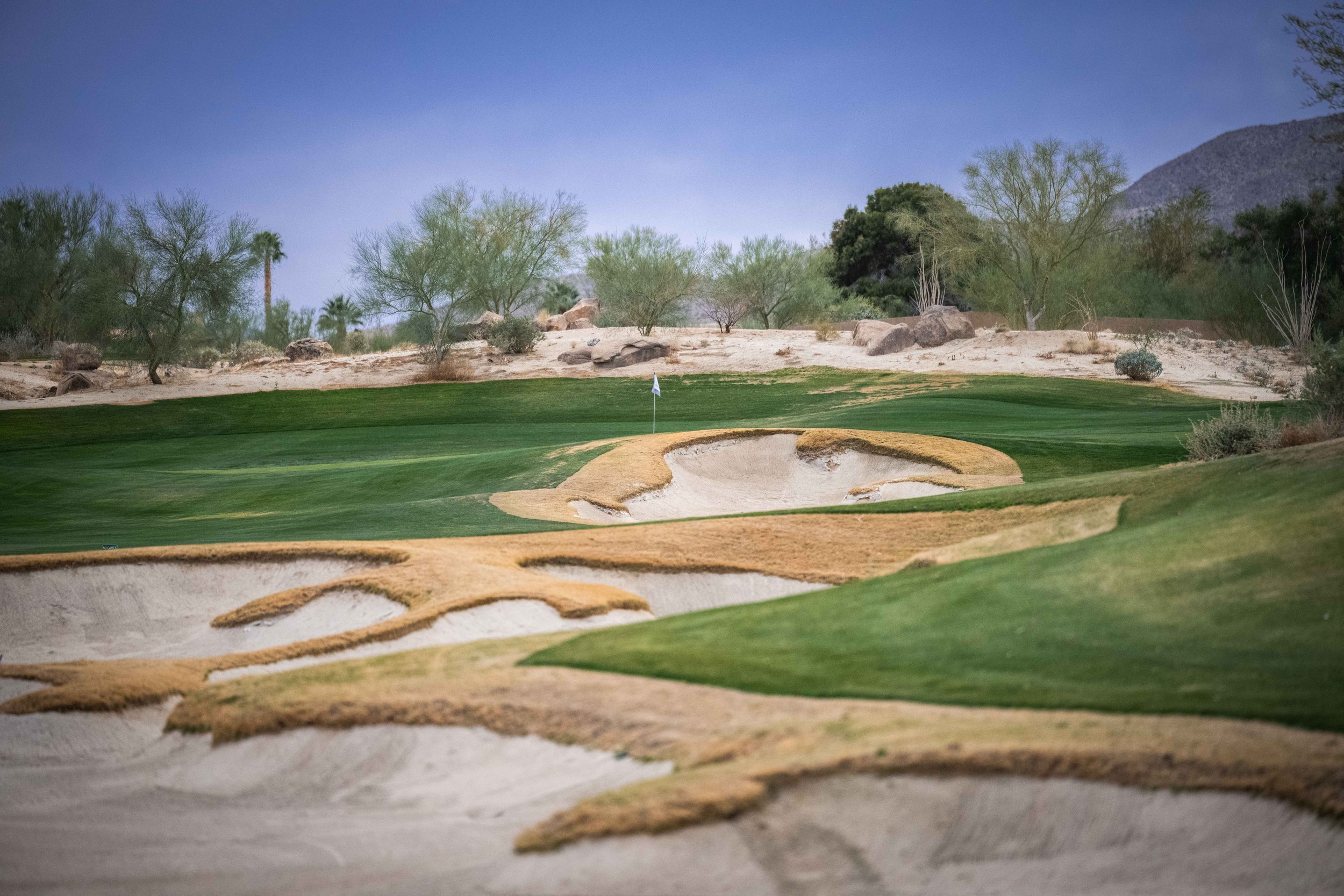 Rams Hill 1-2022-5087.jpg