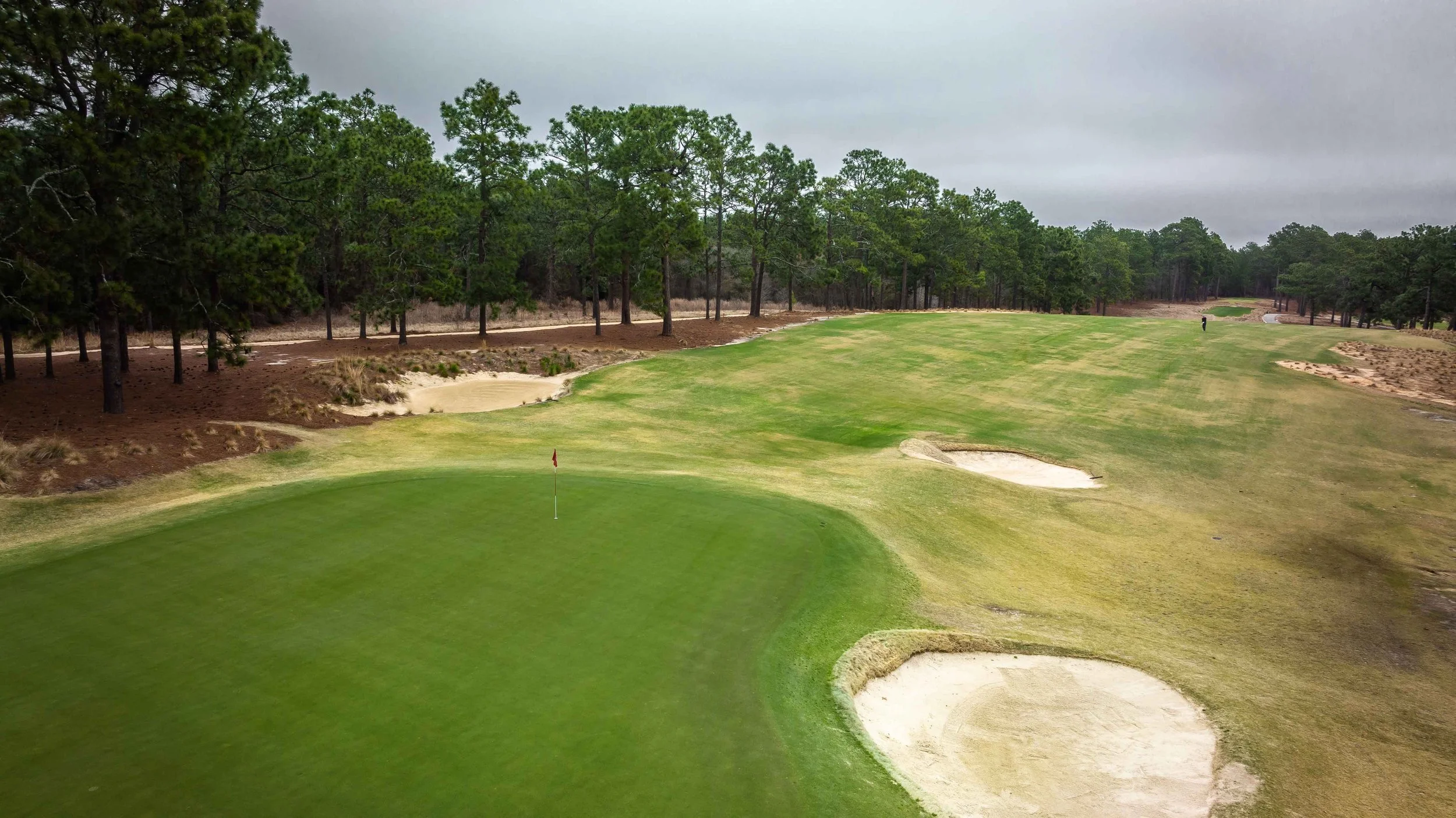 Pine Needles-0242.jpg