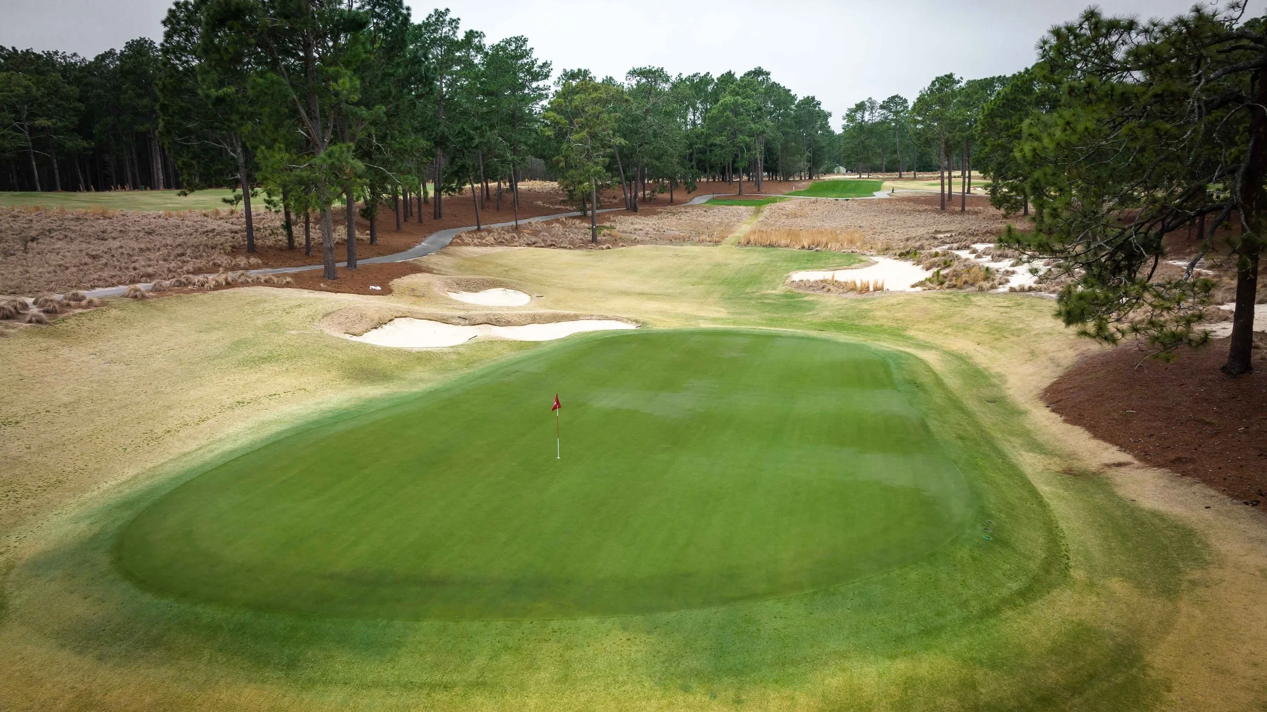 Pine Needles-0247.jpg