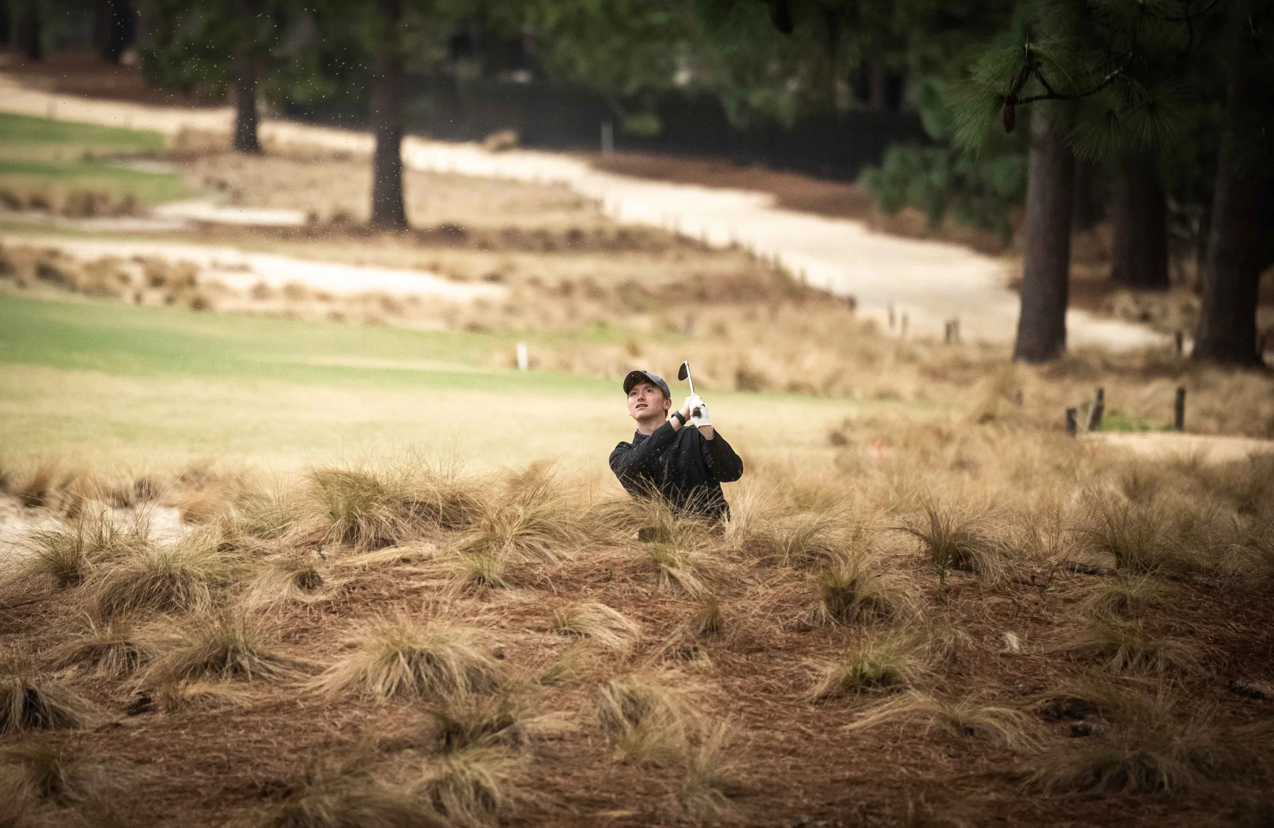 Pine Needles-9619.jpg