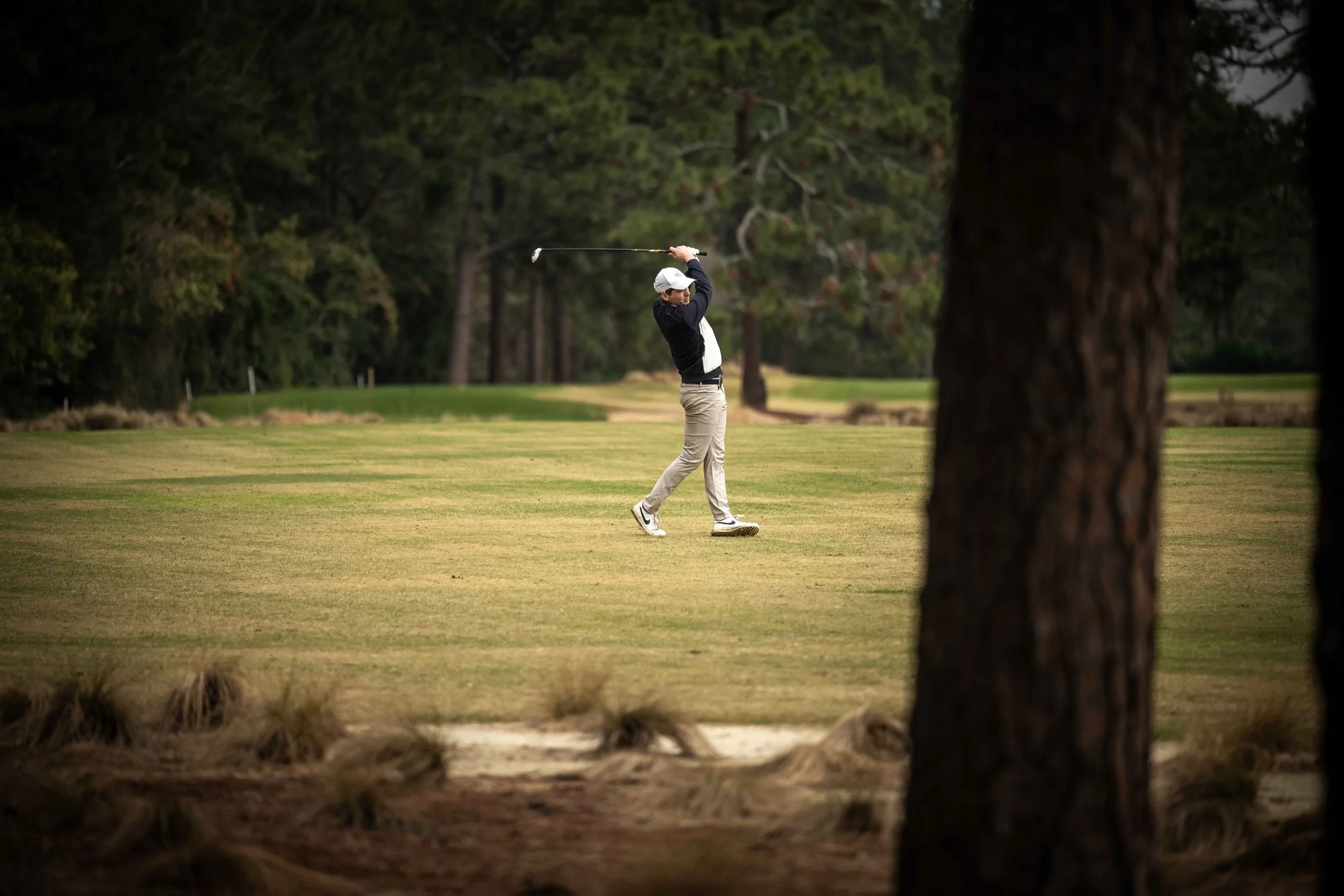 Pine Needles-9634.jpg
