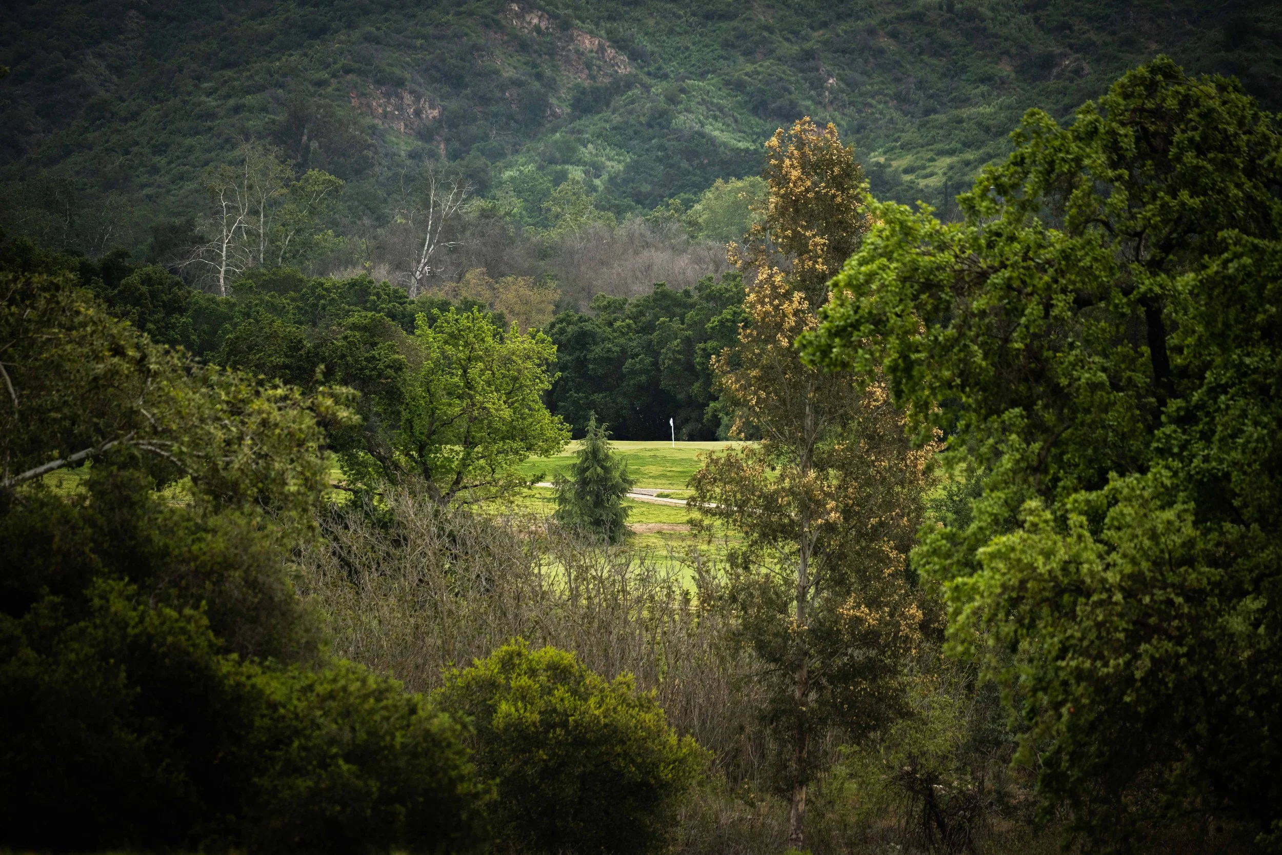Soule Park Golf Course-0882.jpg