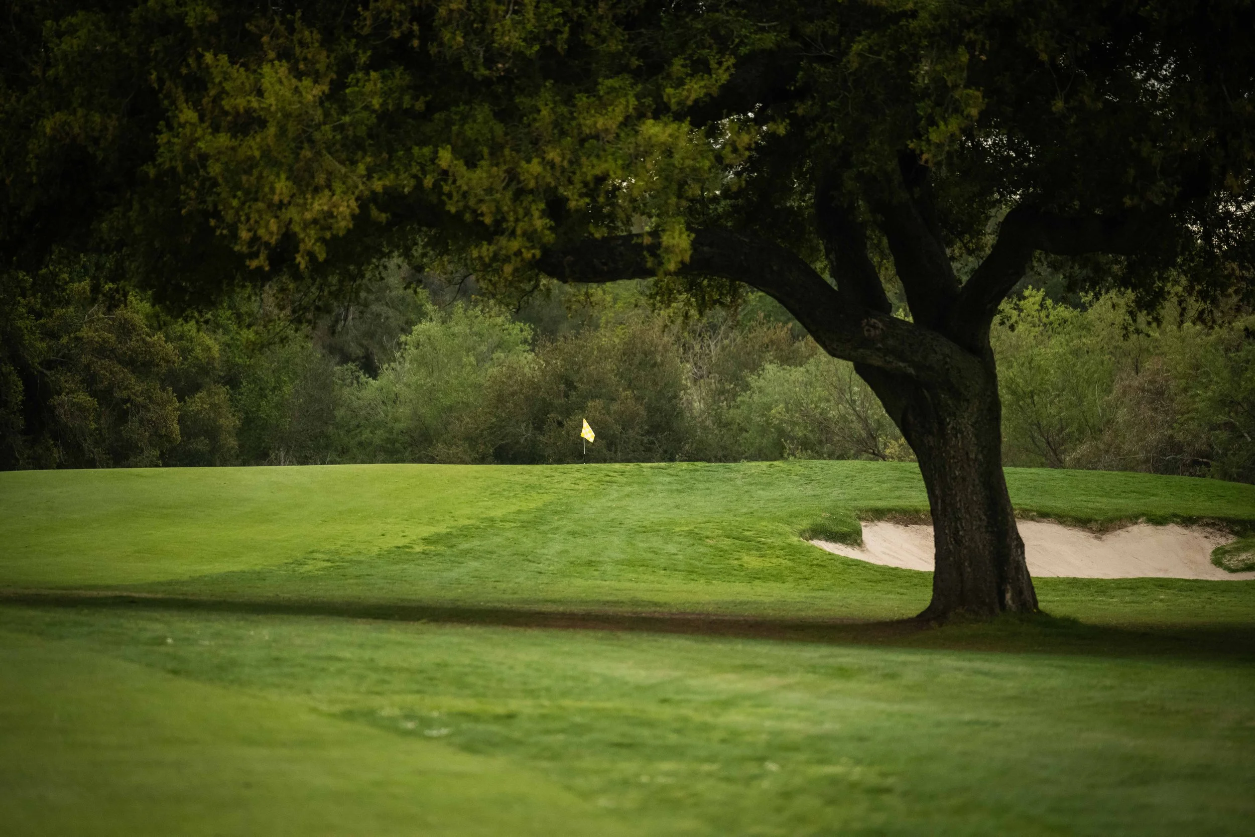 Soule Park Golf Course-0923.jpg