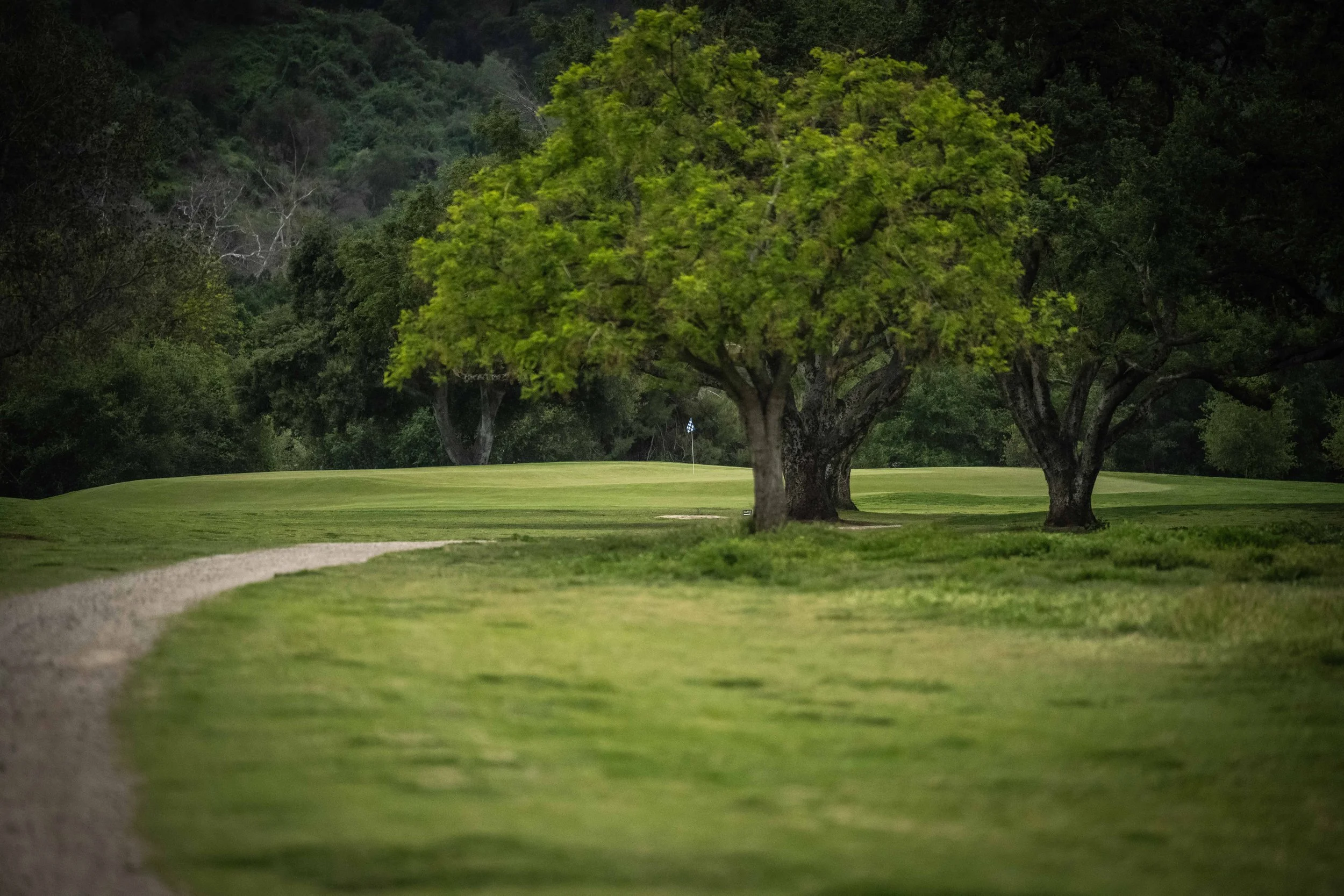Soule Park Golf Course-0972.jpg