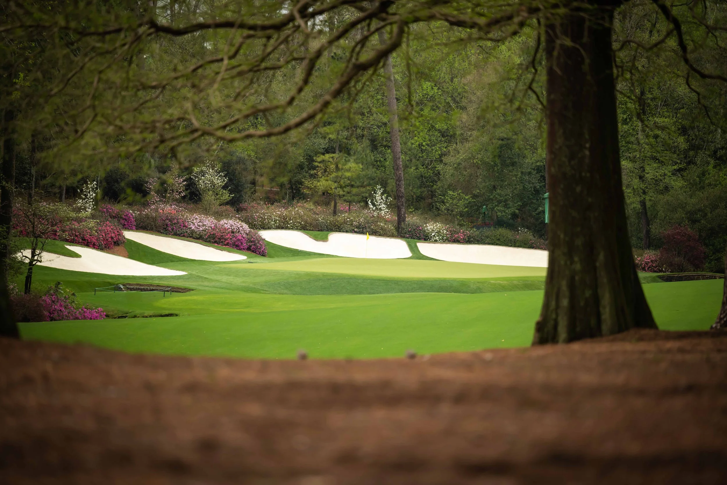 Augusta National Golf Club - 2022-1762.jpg
