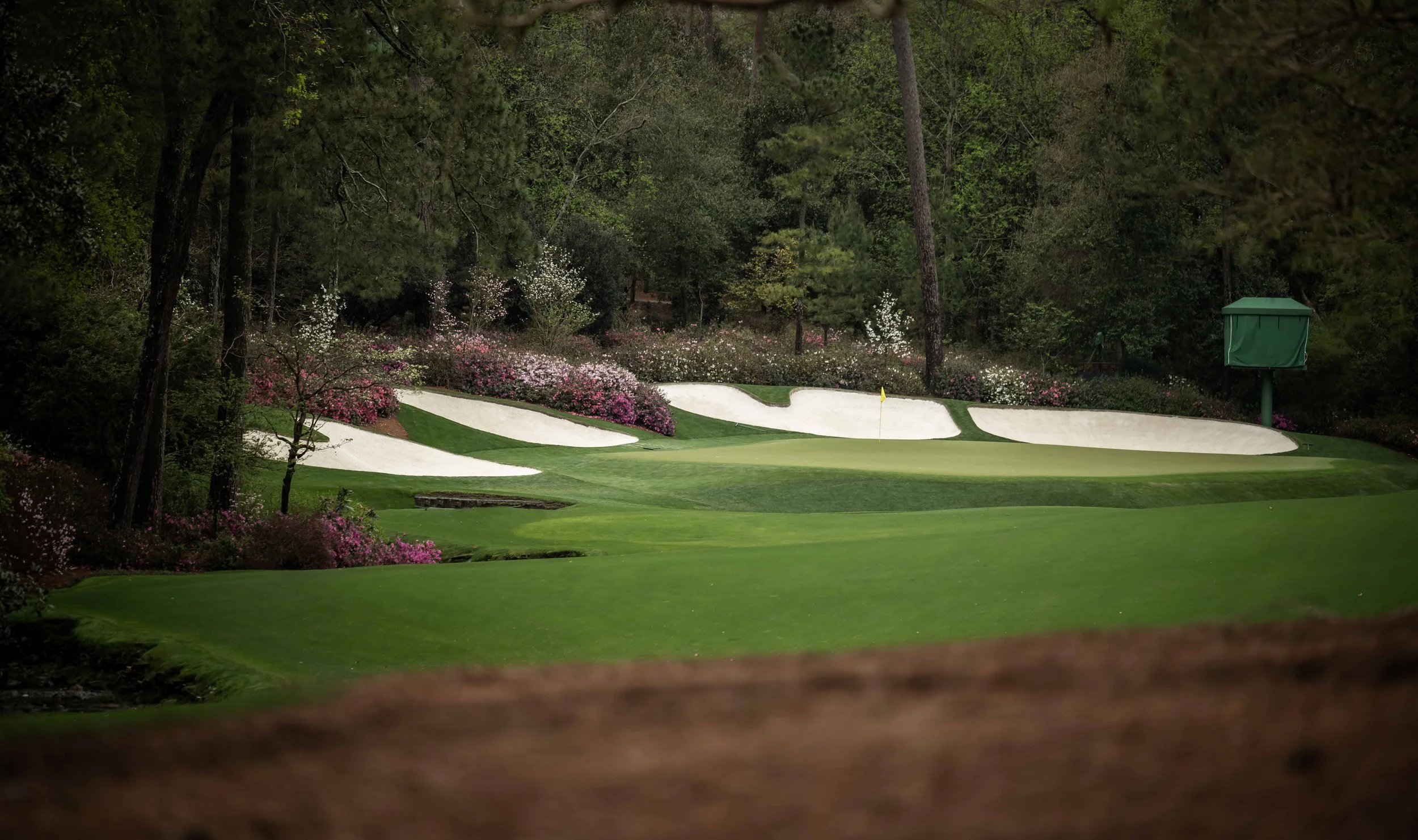 Augusta National Golf Club - 2022-1766.jpg