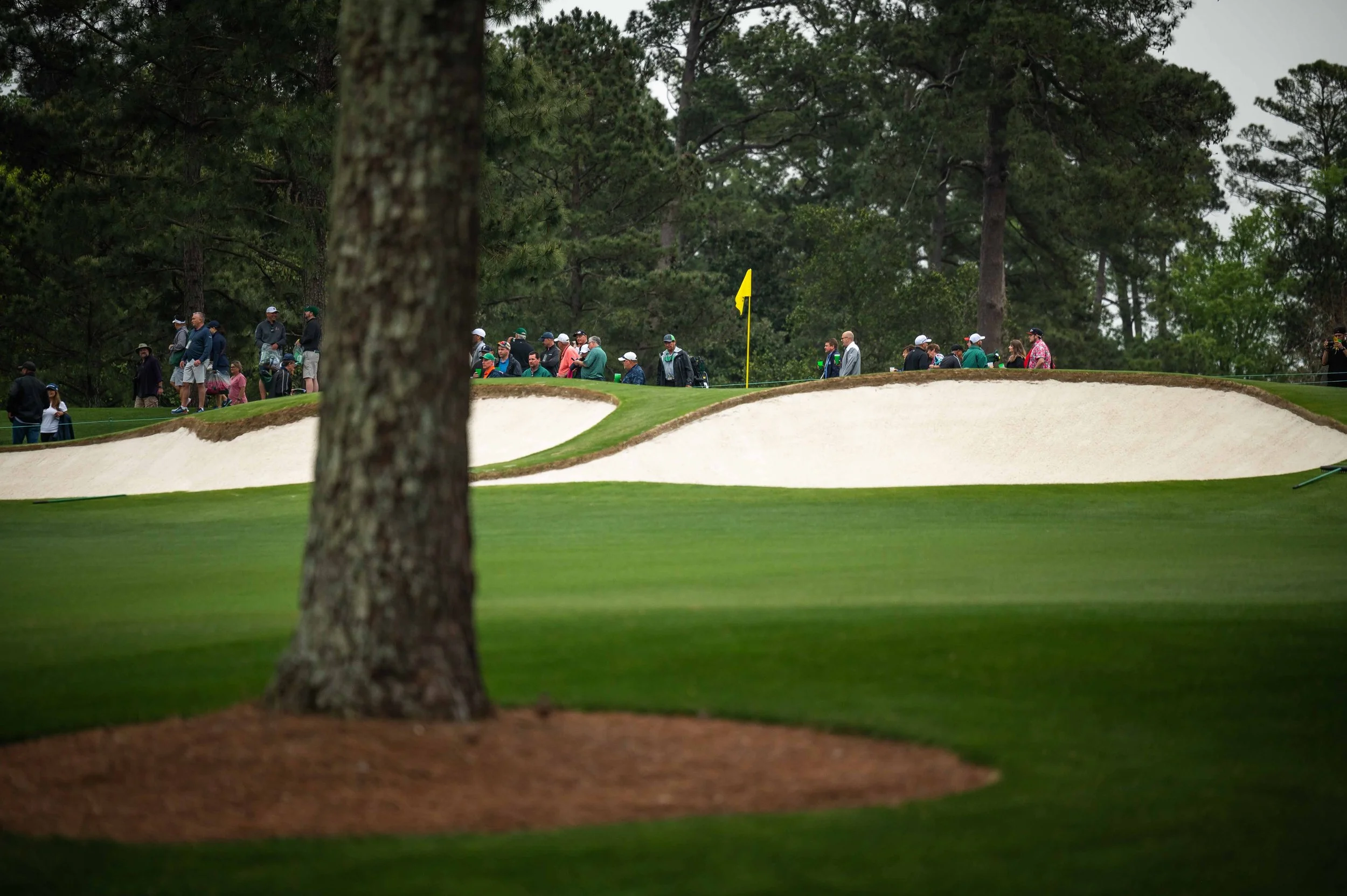 Augusta National-1960.jpg