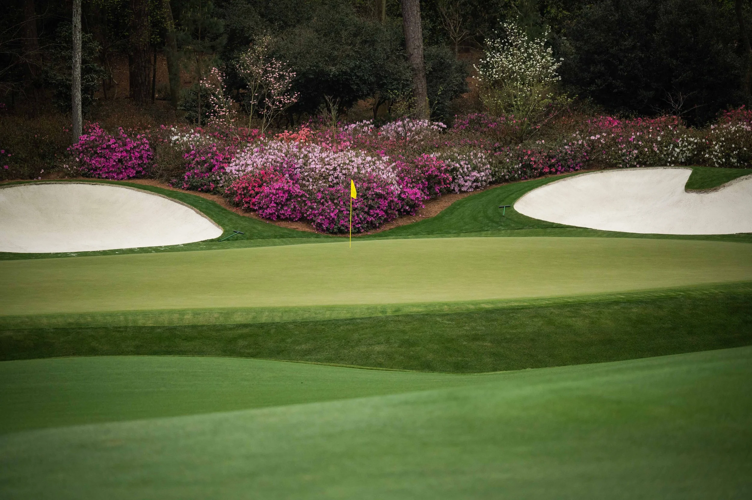 Augusta National-2045.jpg