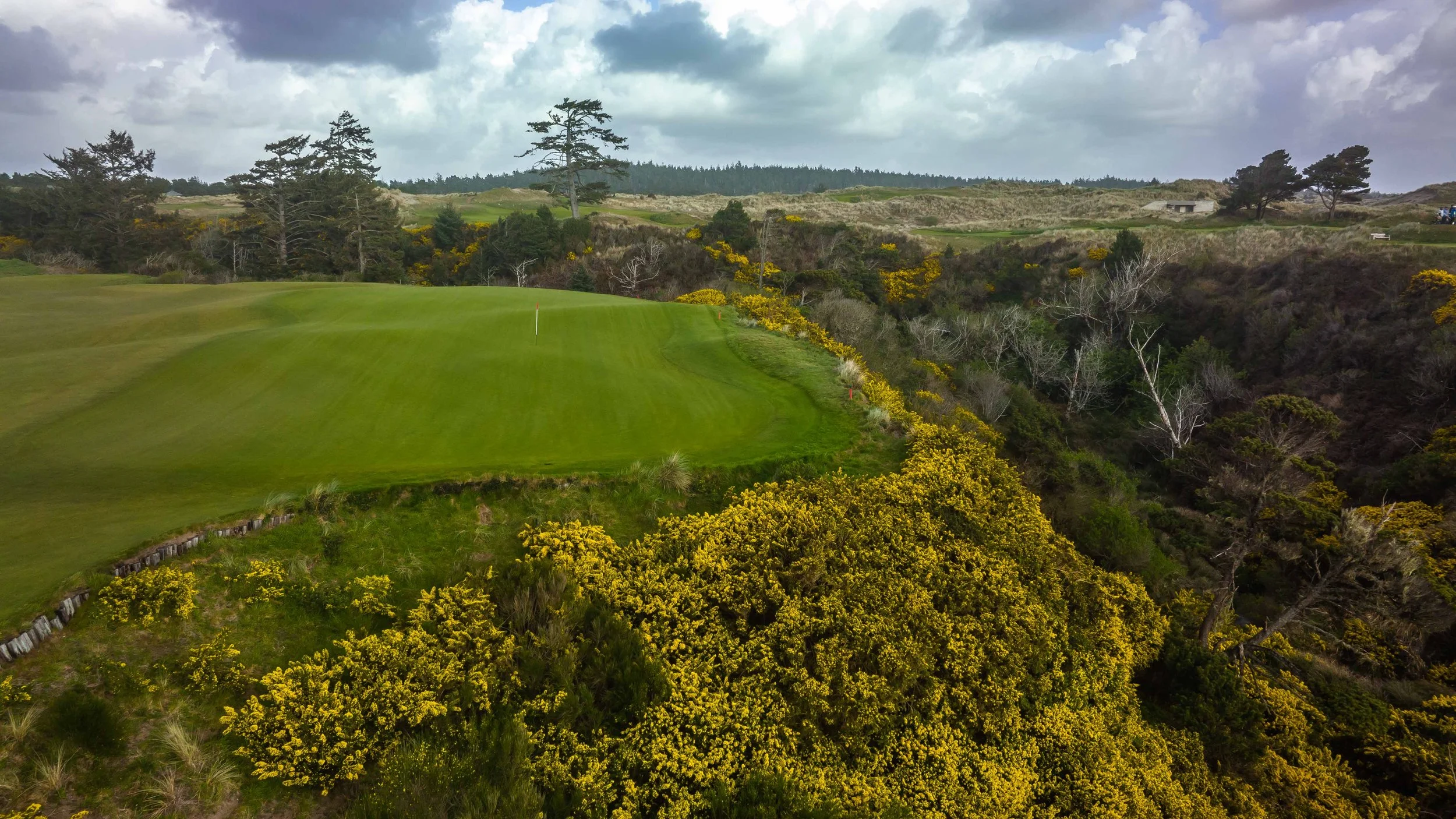 Bandon Preserve 4-2022-0303.jpg
