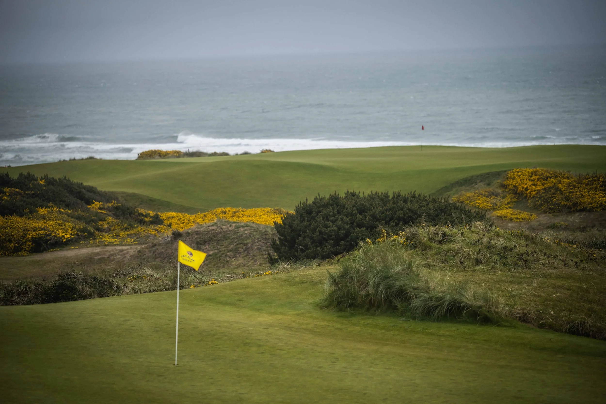 Pacific Dunes 4-2022-2570.jpg