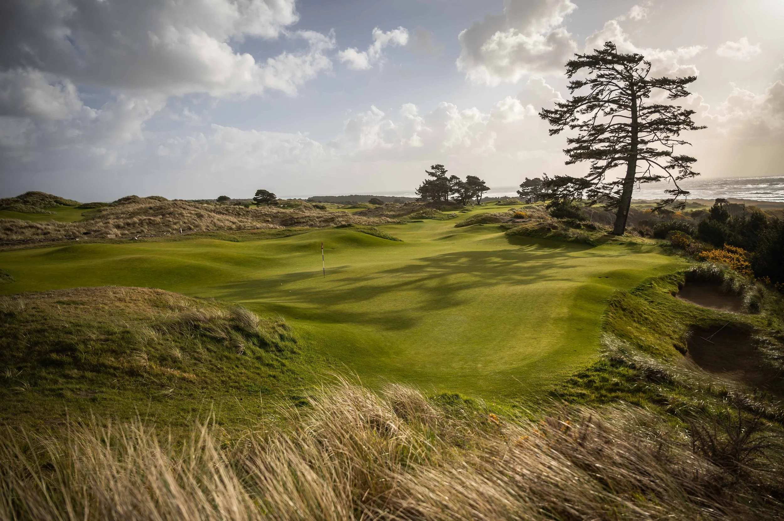 Bandon Preserve 4-2022-2109.jpg