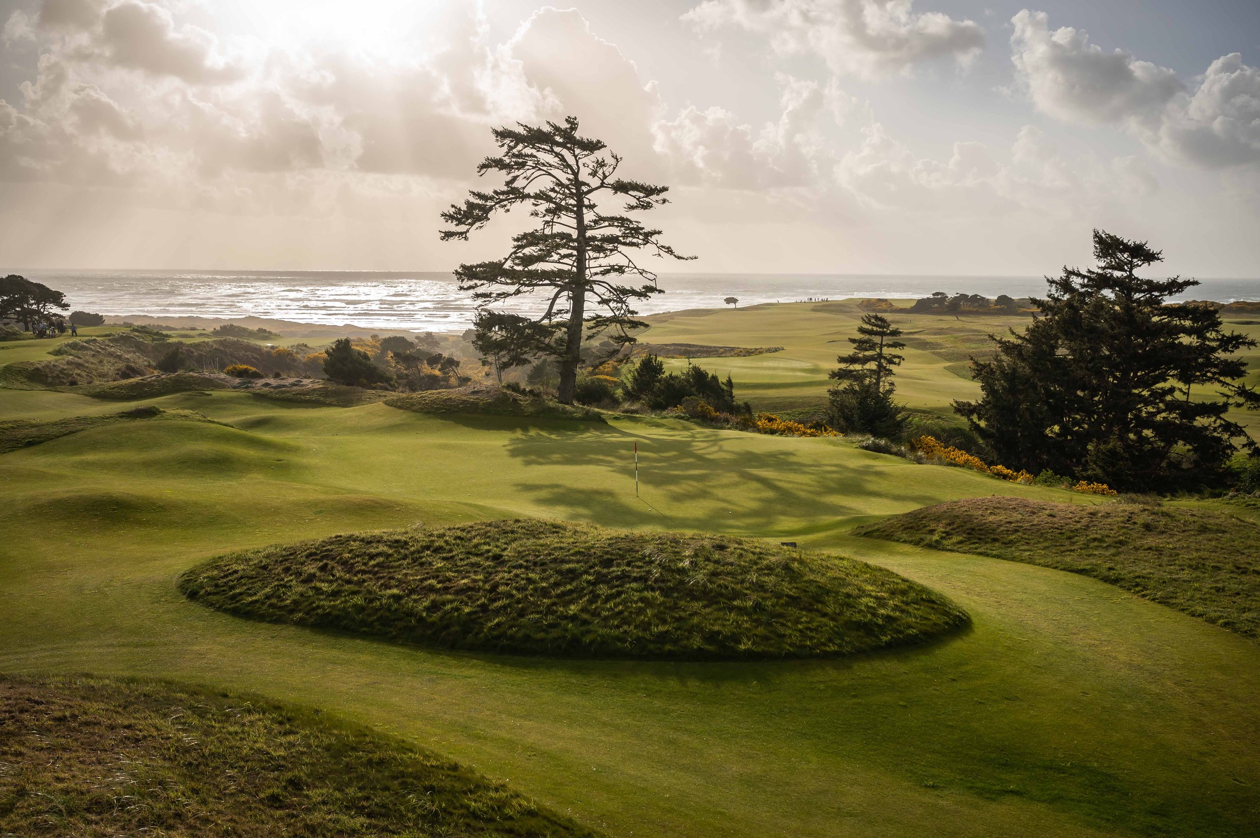 Bandon Preserve 4-2022-2112.jpg