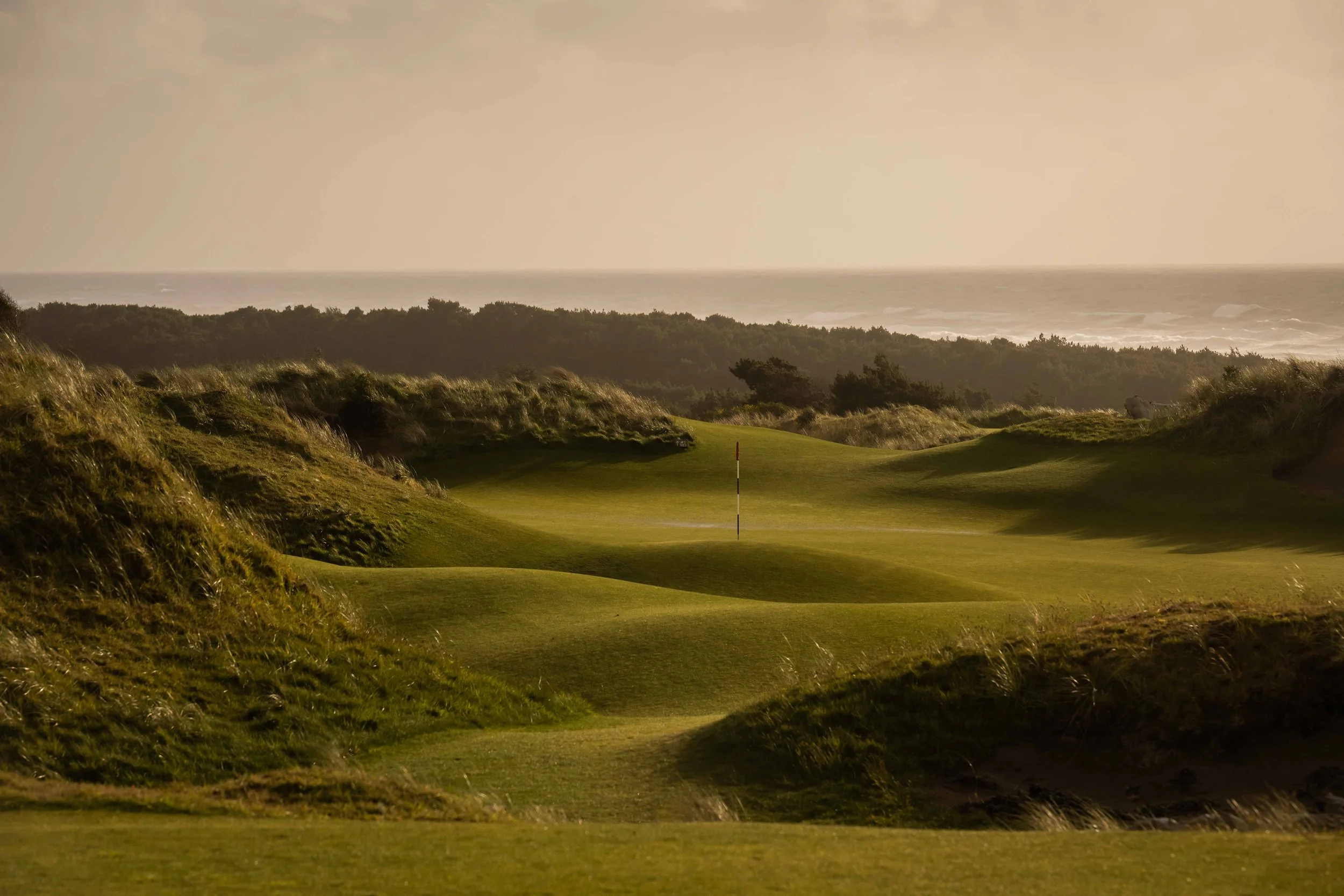Bandon Preserve 4-2022-2885.jpg
