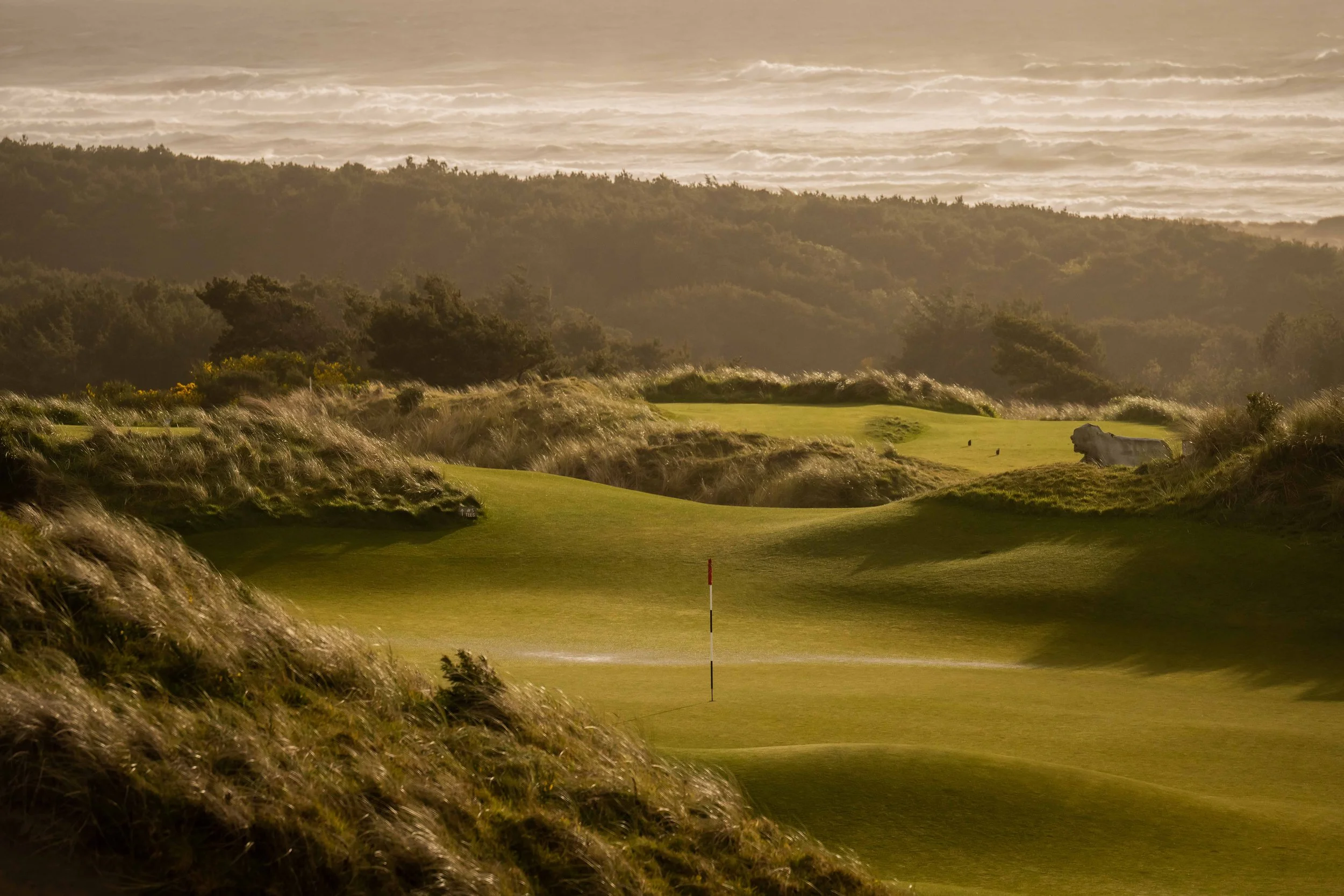 Bandon Preserve 4-2022-2886.jpg