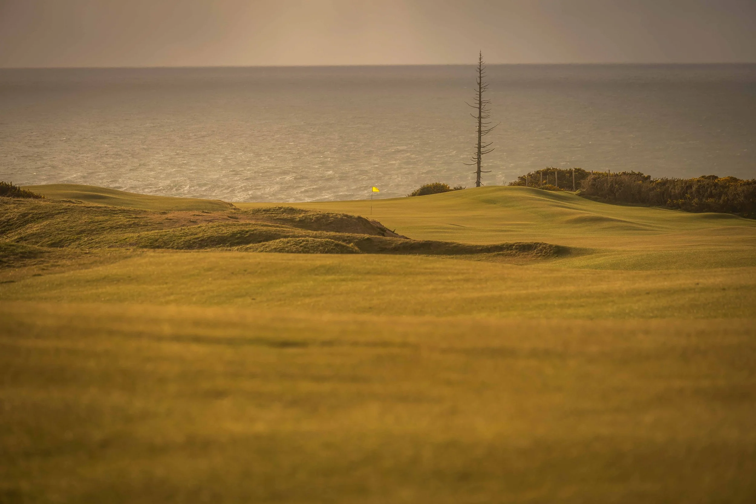 Sheep Ranch 4-2022-3111.jpg