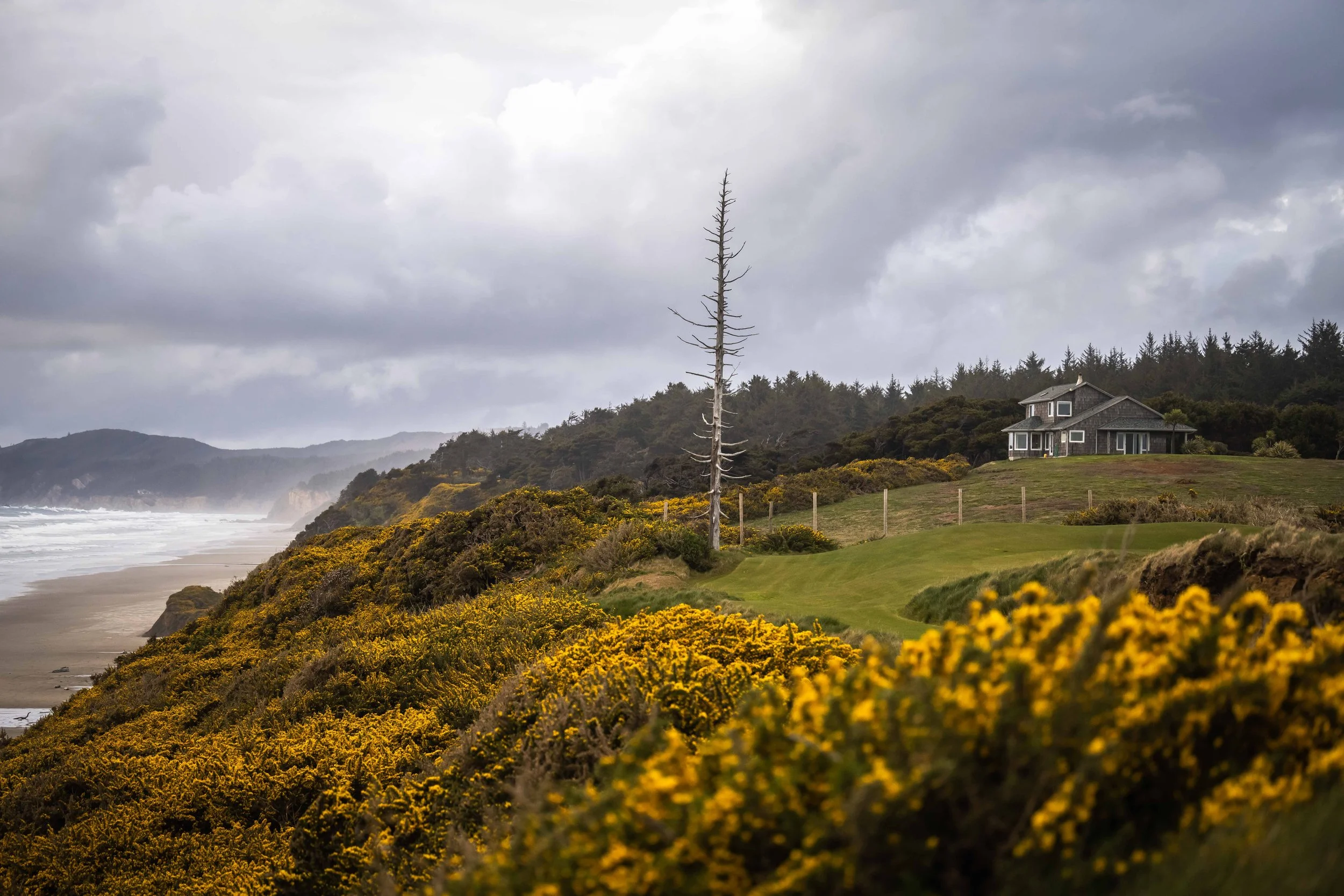 Sheep Ranch 4-2022-3165-2.jpg