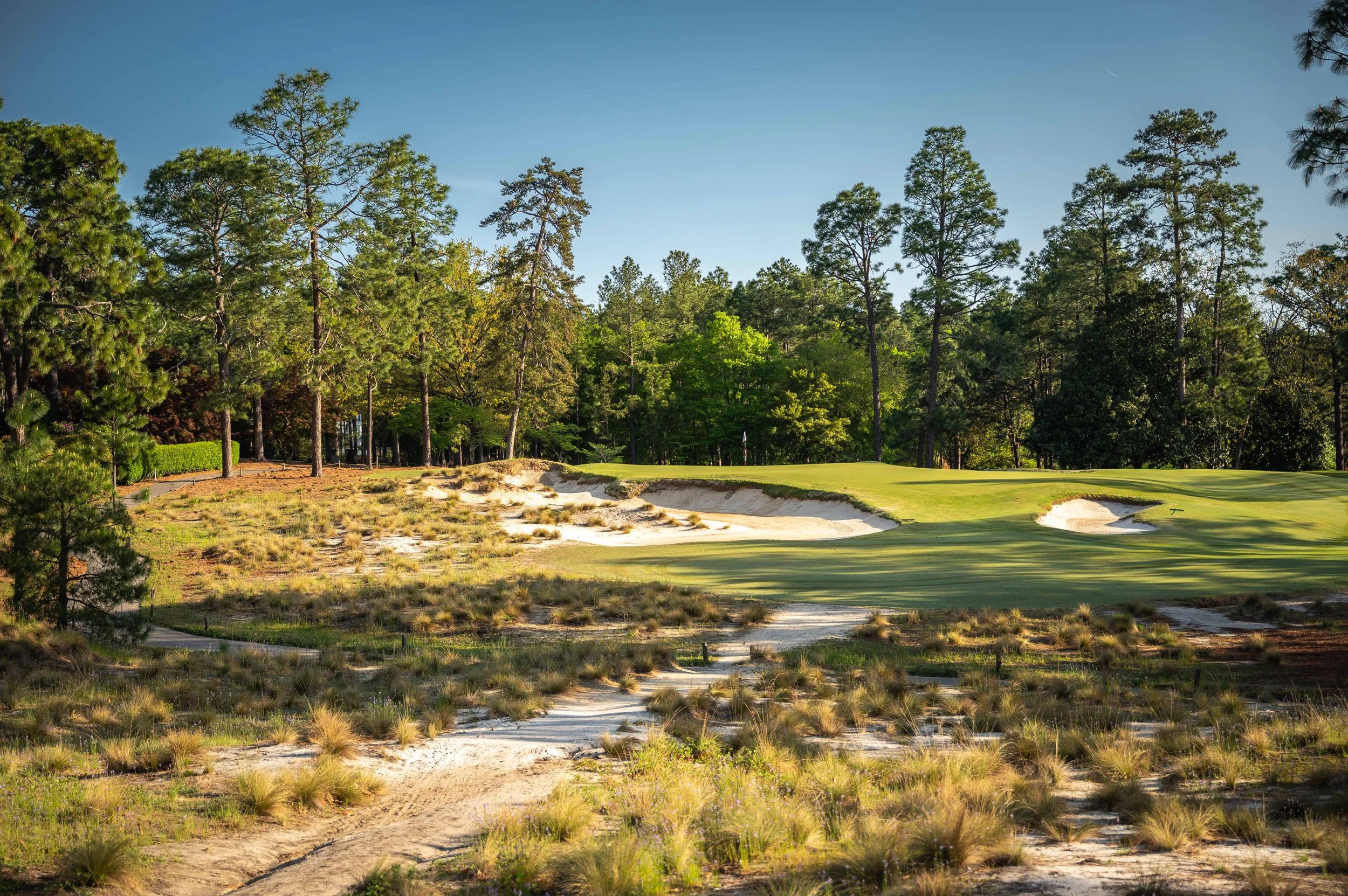 Pinehurst No 2 - 4-2022-2266.jpg