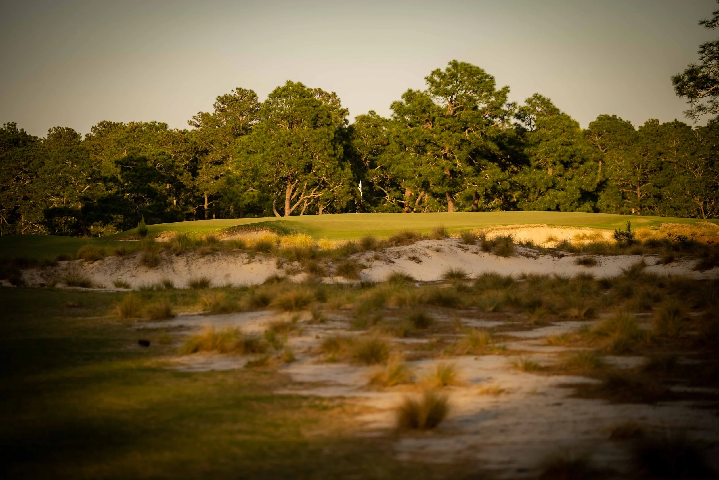 Pinehurst No 2 - 4-2022-4190.jpg