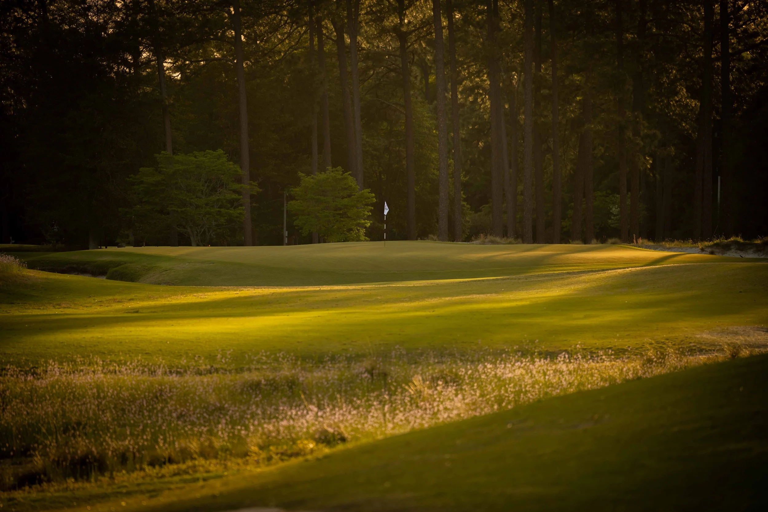 Pinehurst No 2 - 4-2022-4201.jpg