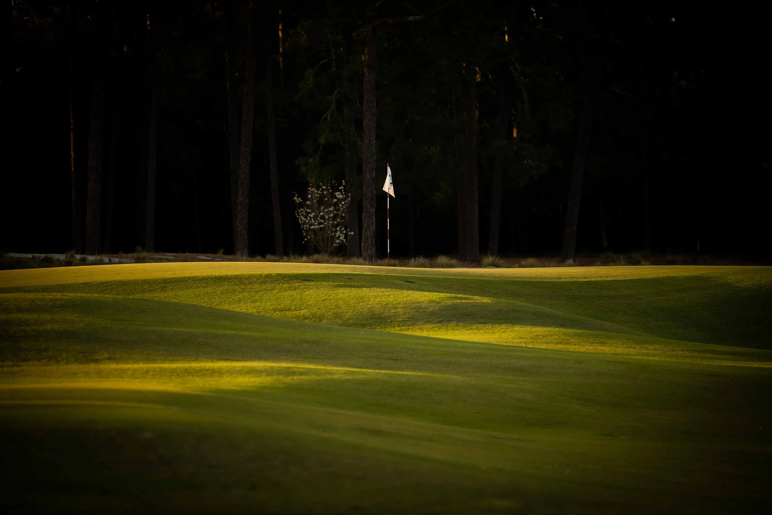 Pinehurst No 2 - 4-2022-4213.jpg