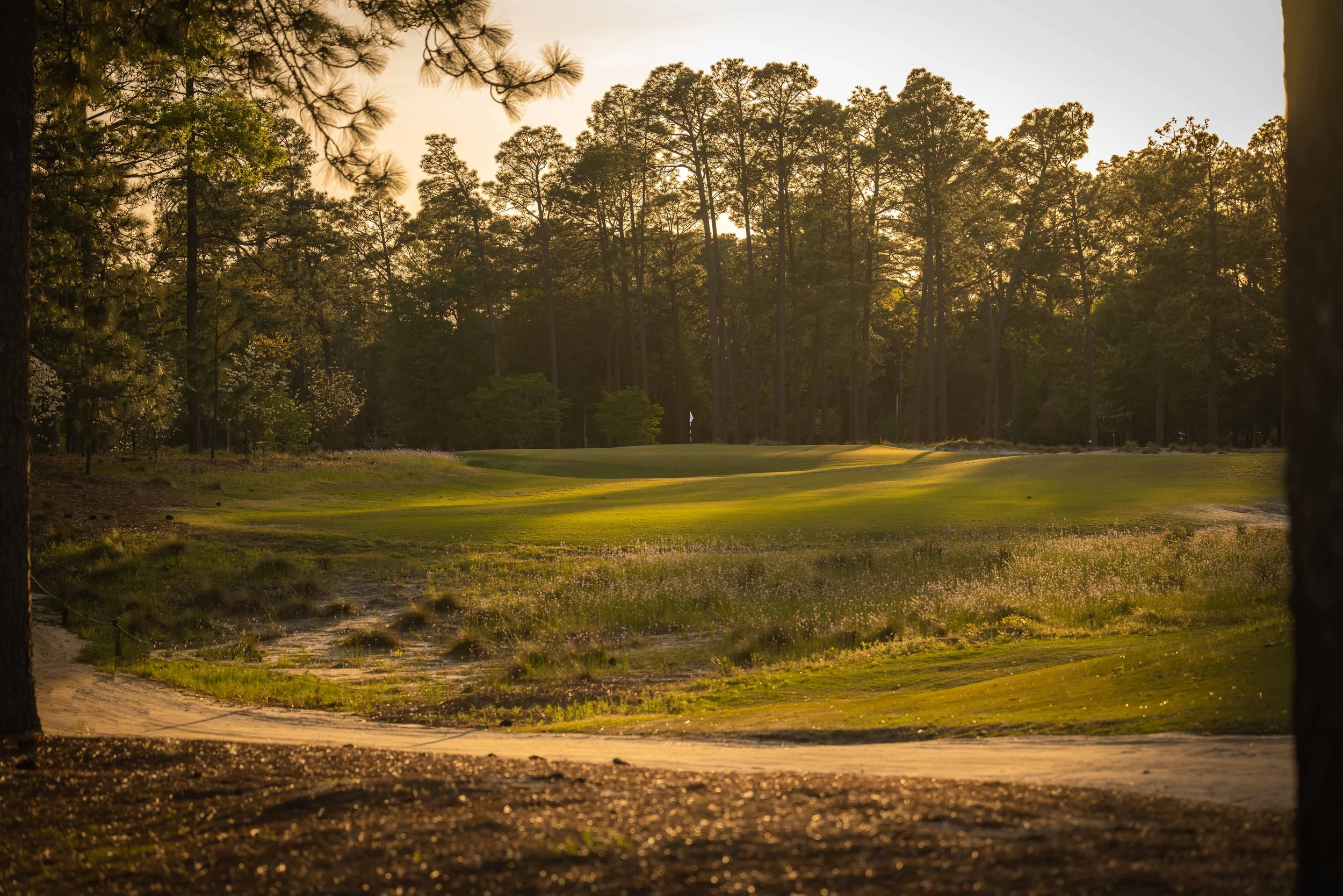 Pinehurst No 2 - 4-2022-4211.jpg