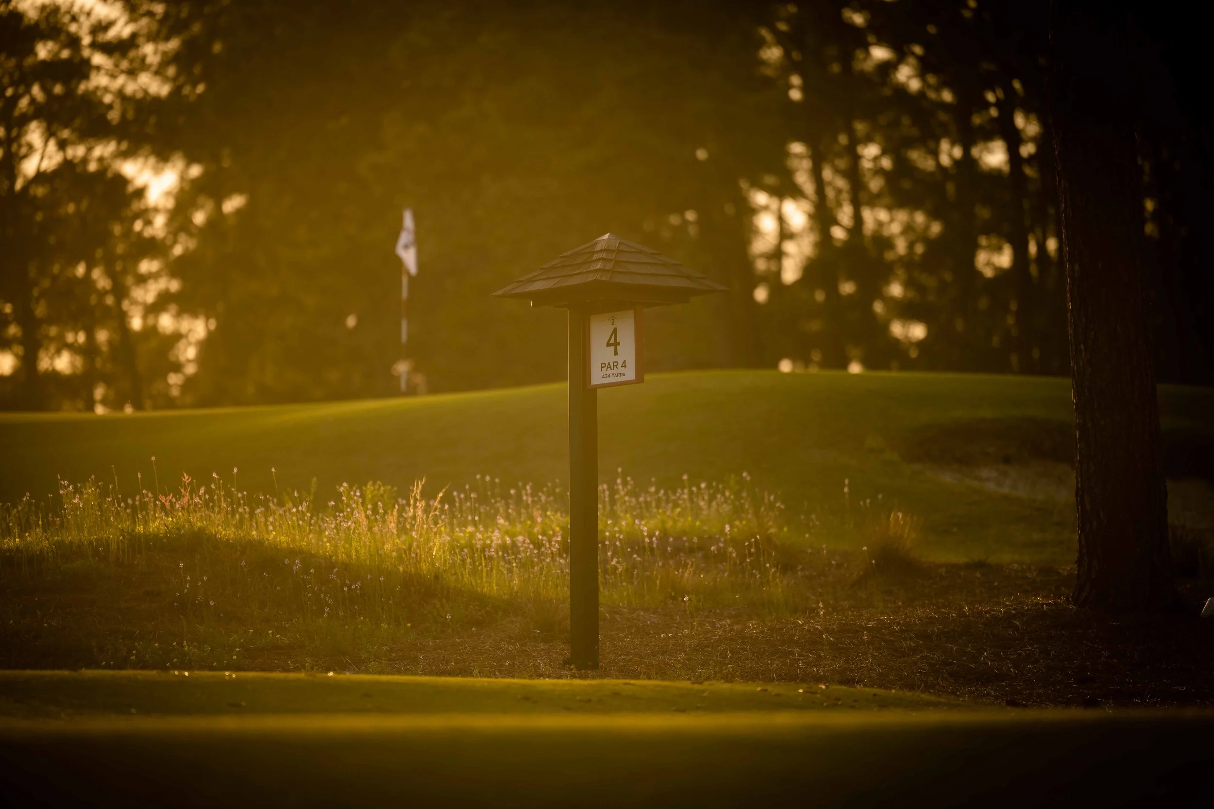 Pinehurst No 2 - 4-2022-4217.jpg