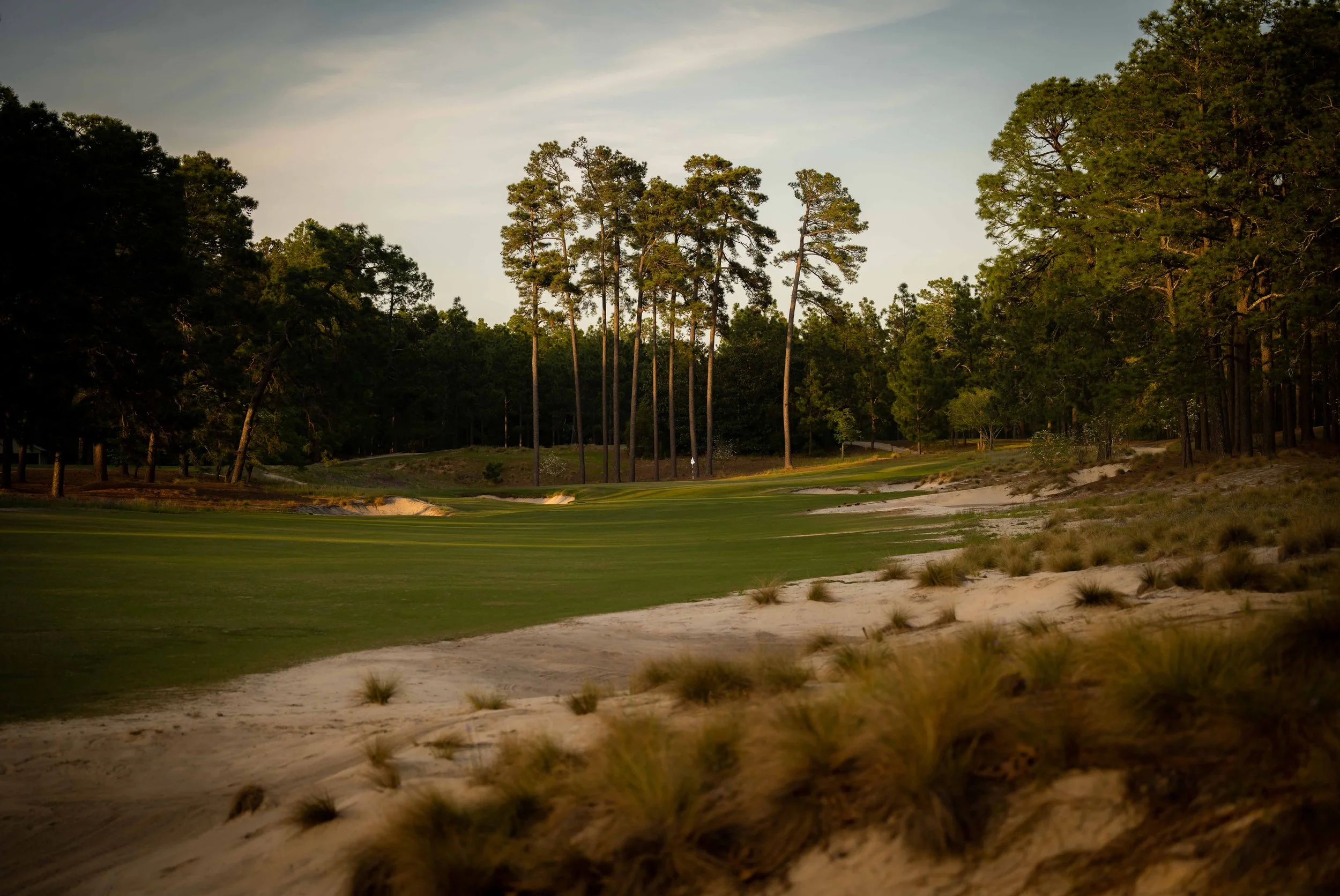 Pinehurst No 2 - 4-2022-4223.jpg