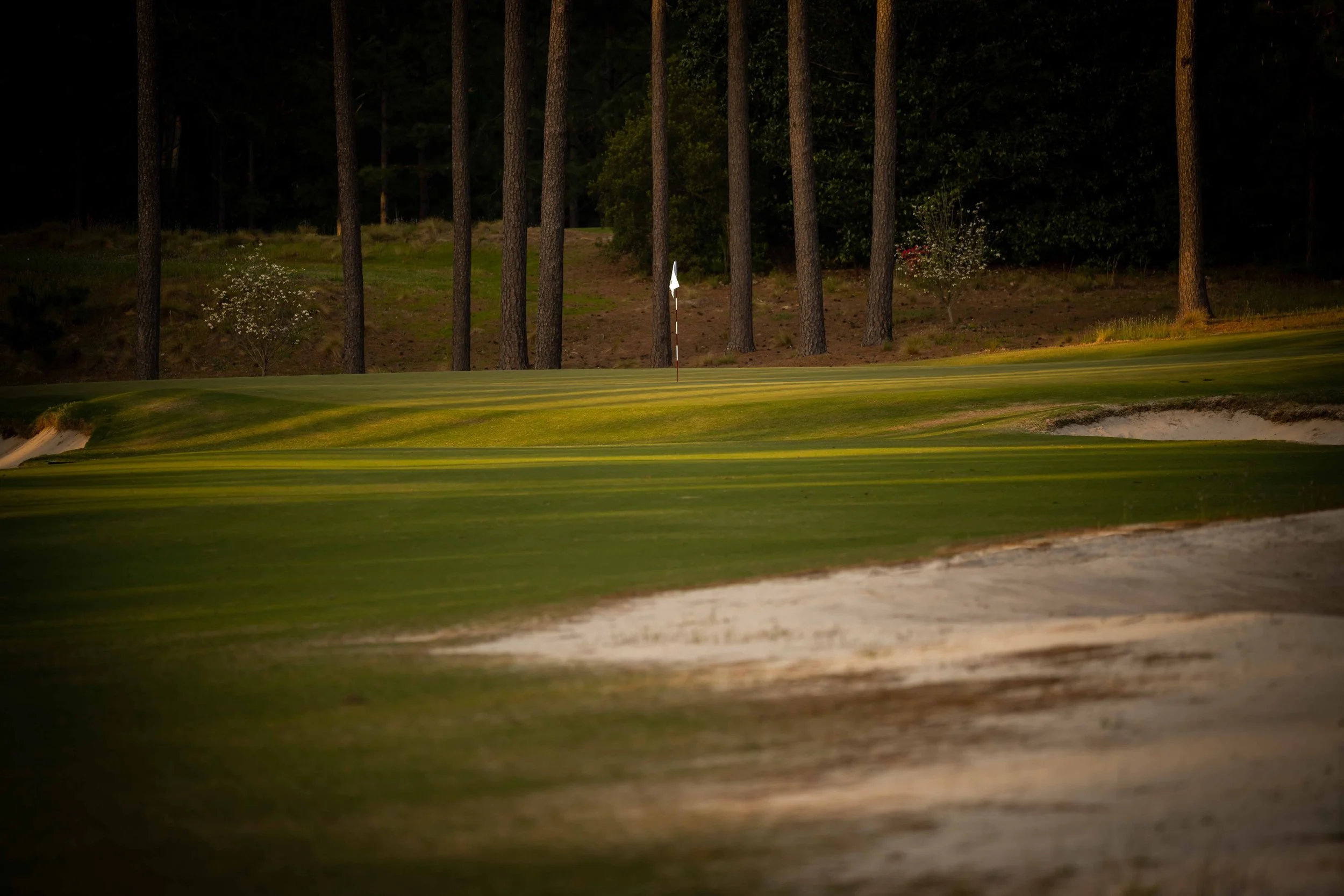 Pinehurst No 2 - 4-2022-4232.jpg