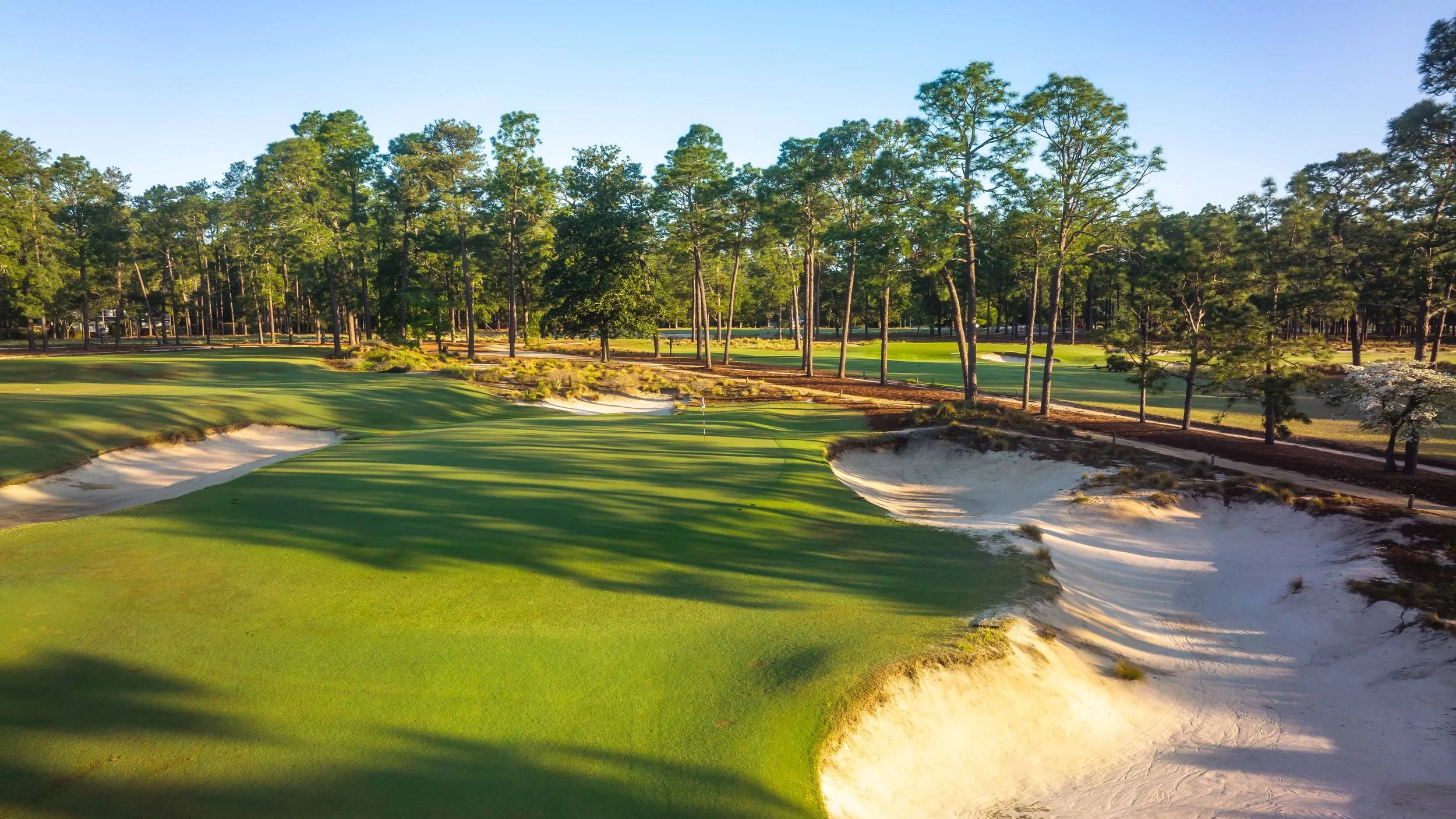 PInehurst No 2-0431.jpg