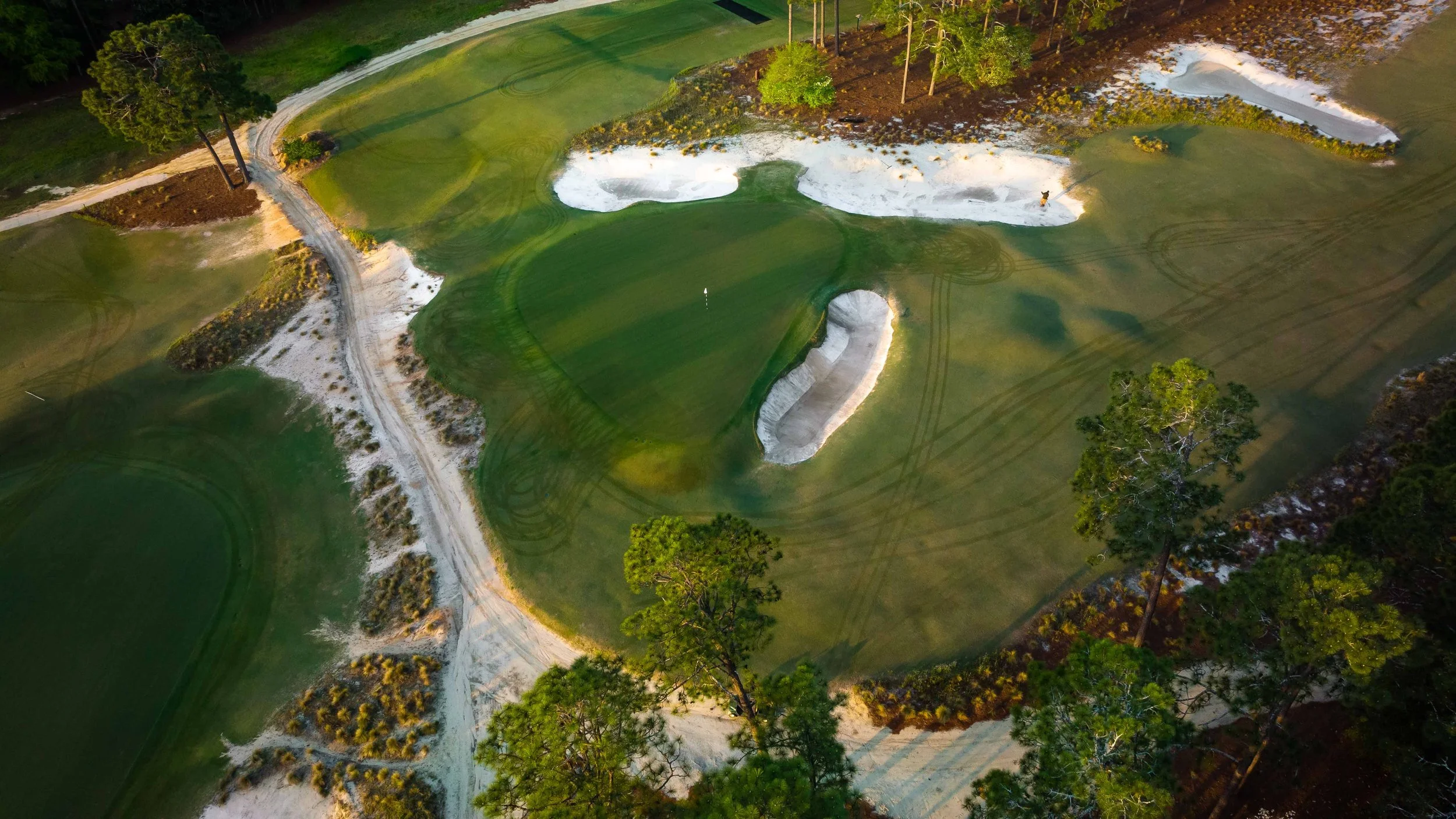 Pinehurst No 2-0792.jpg