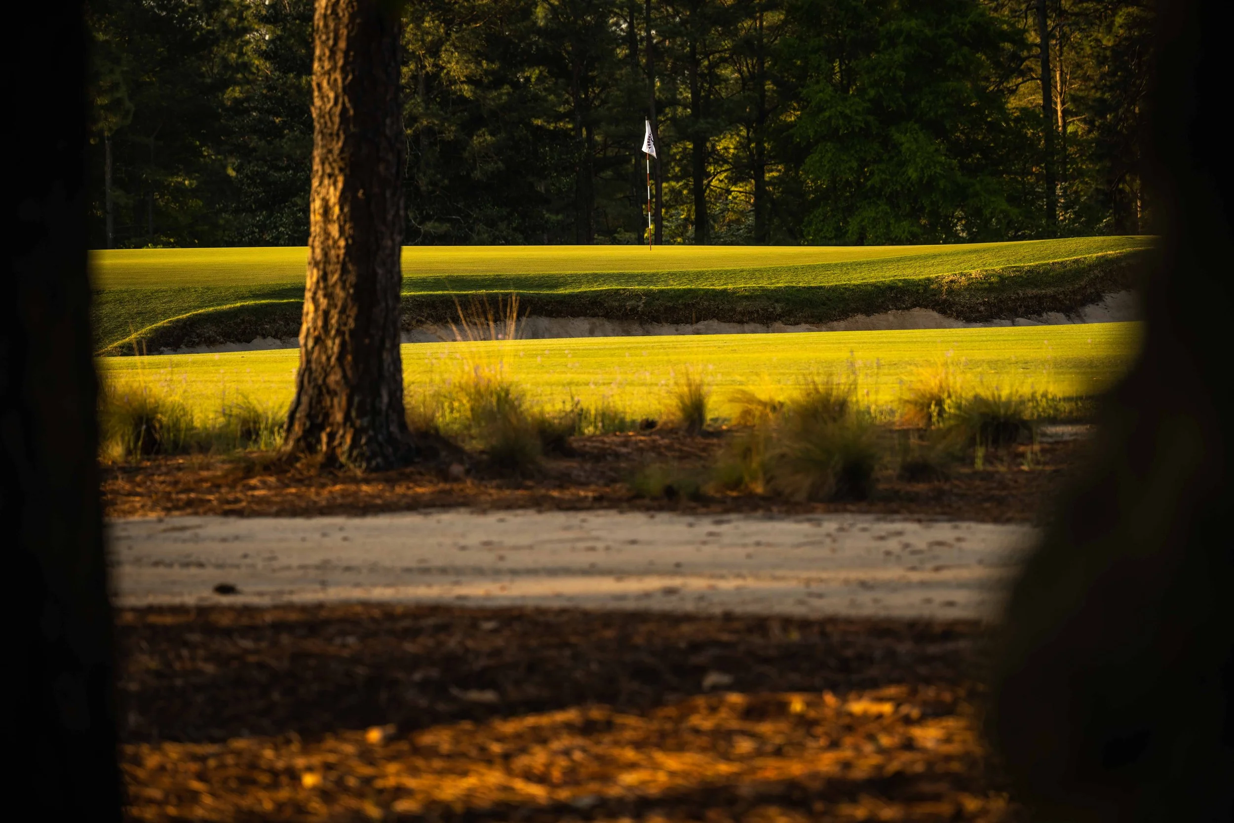 Pinehurst No 2-3598.jpg