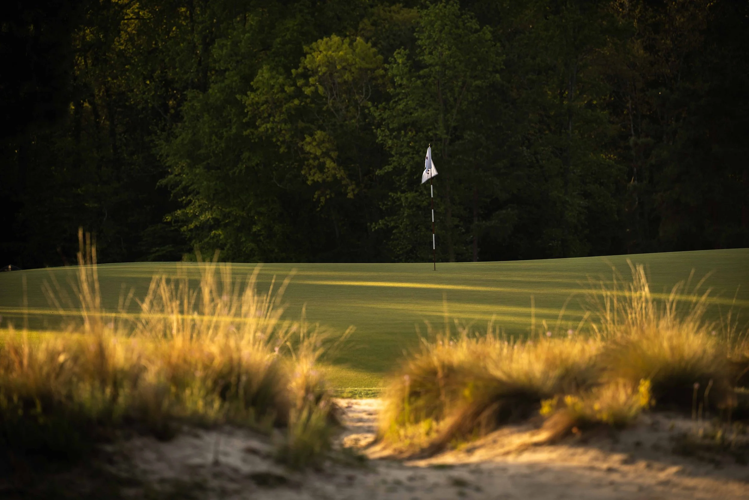 Pinehurst No 2-3605.jpg