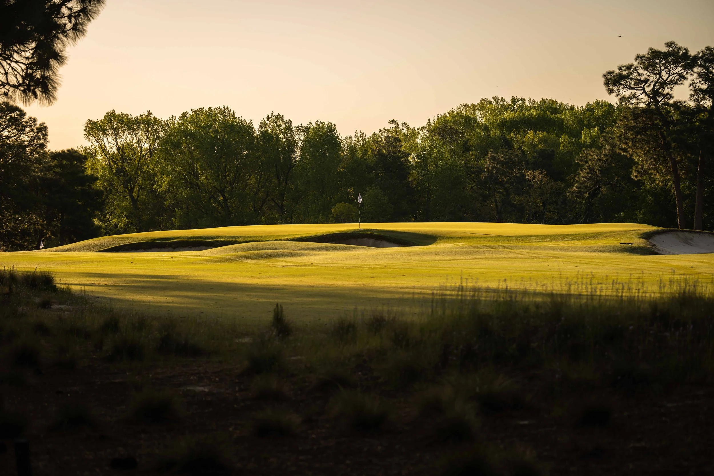 Pinehurst No 2-3612.jpg