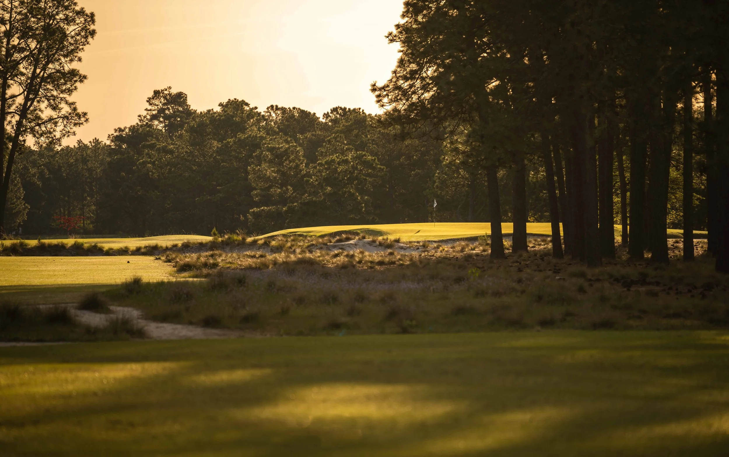 Pinehurst No 2-3630-2.jpg
