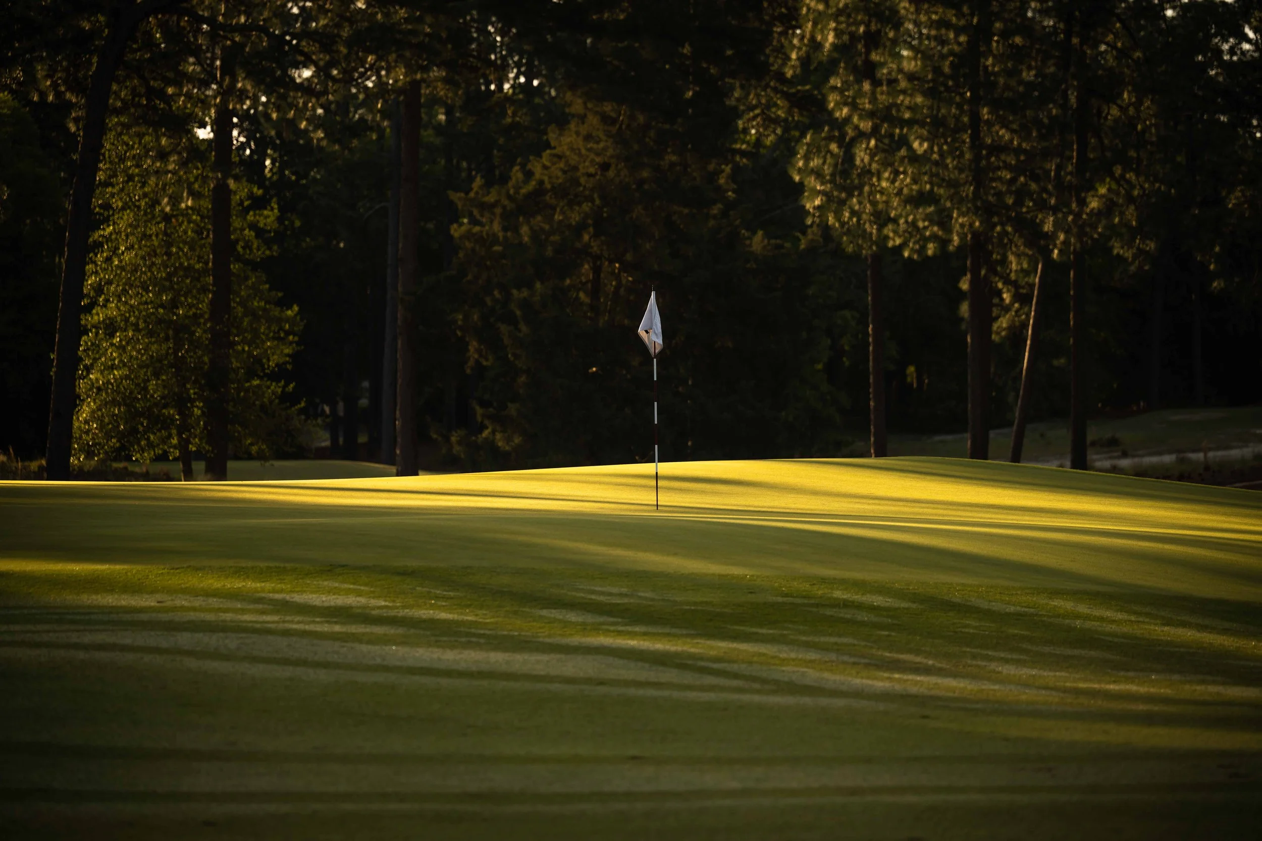 Pinehurst No 2-3632.jpg