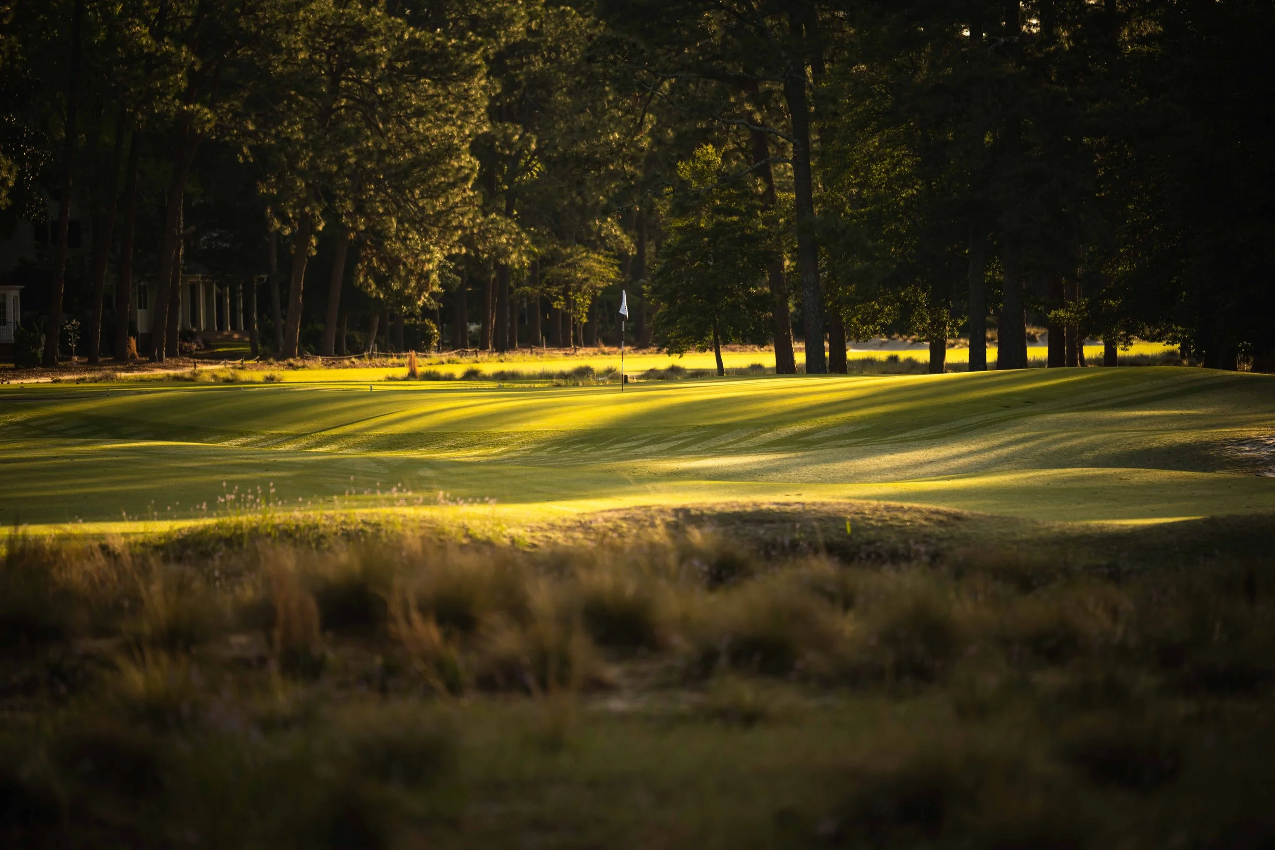 Pinehurst No 2-3637.jpg