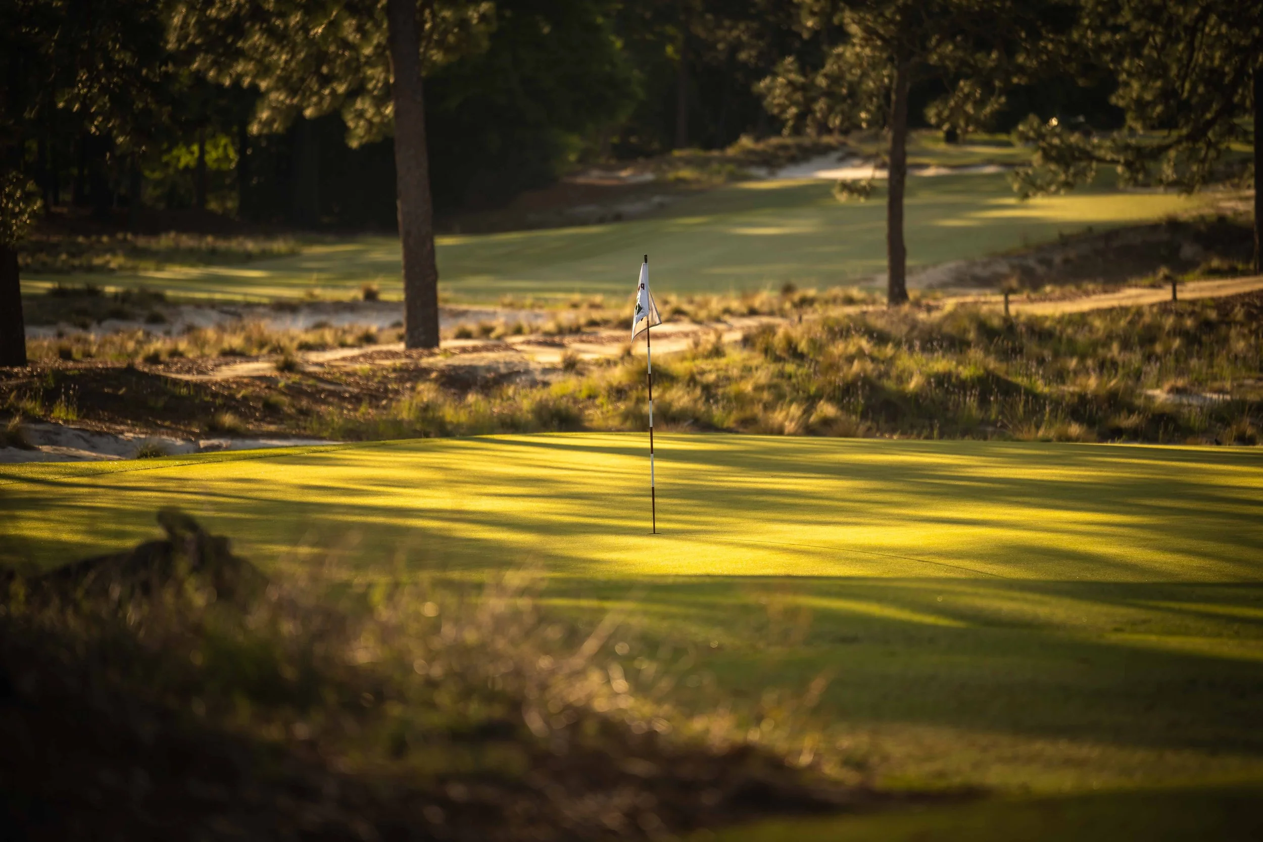 Pinehurst No 2-3651.jpg