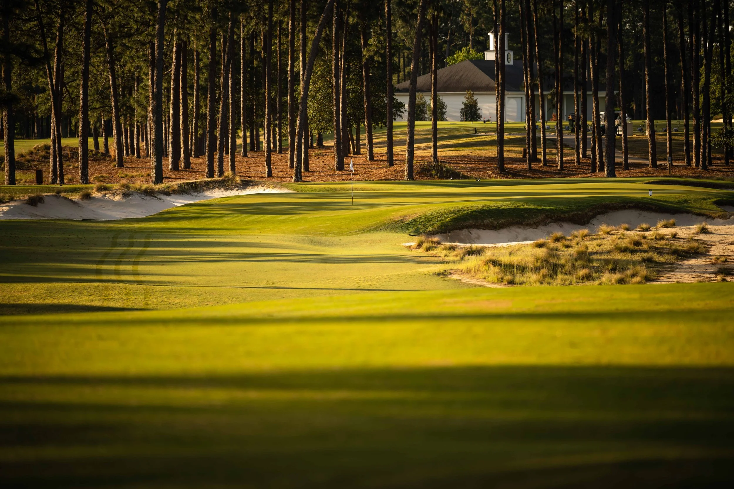 Pinehurst No 2-3646.jpg