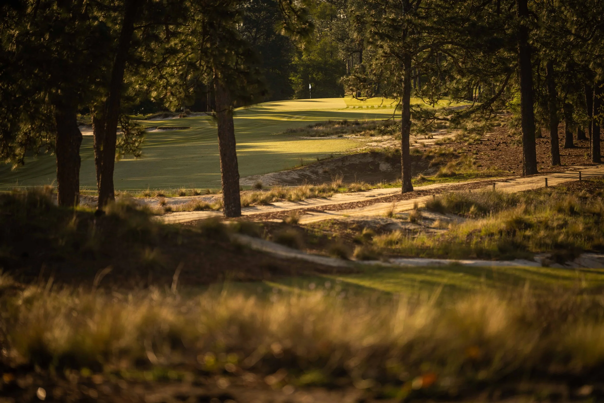 Pinehurst No 2-3654.jpg