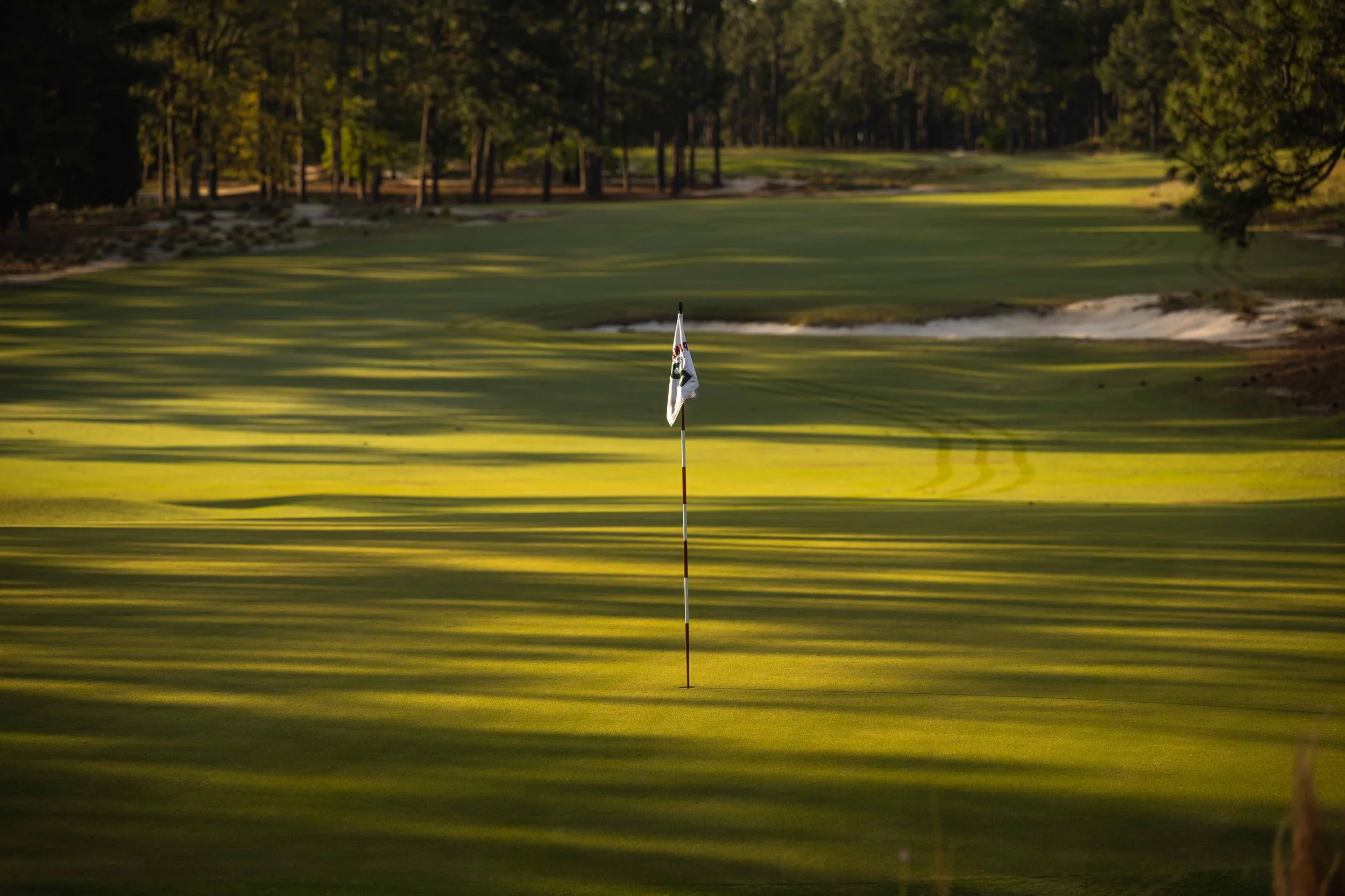 Pinehurst No 2-3658.jpg