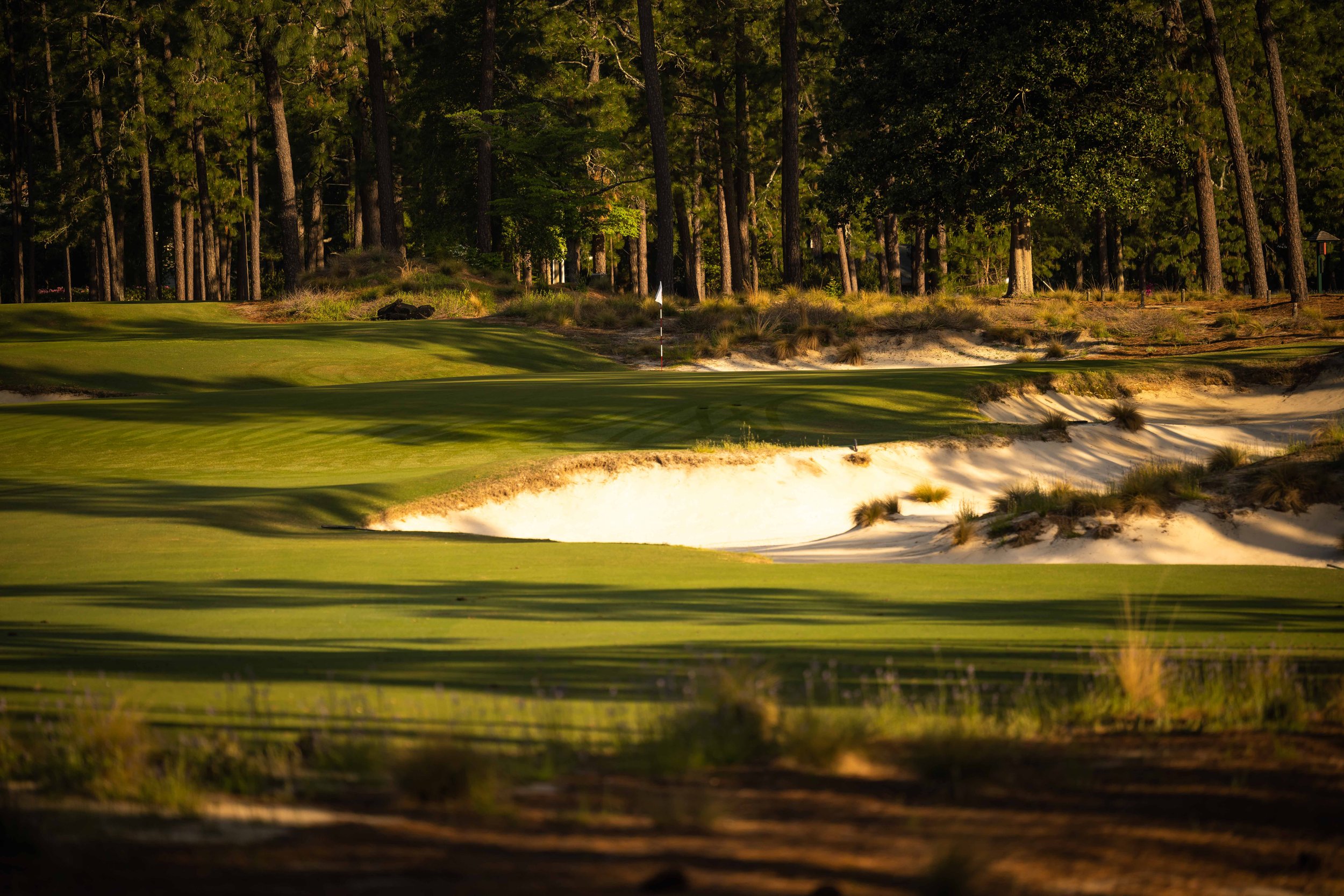 Pinehurst No 2-3676.jpg