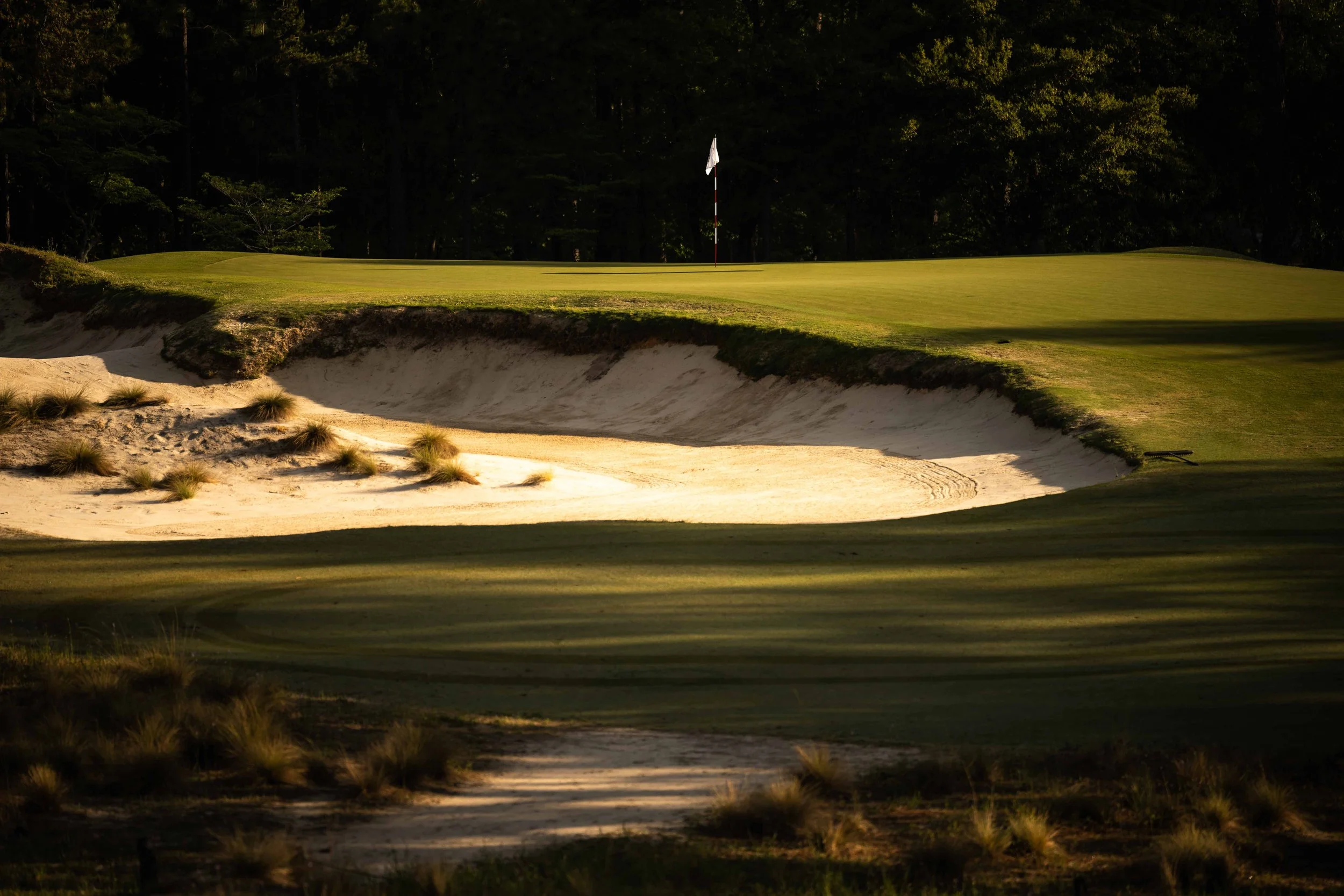 Pinehurst No 2-3699.jpg