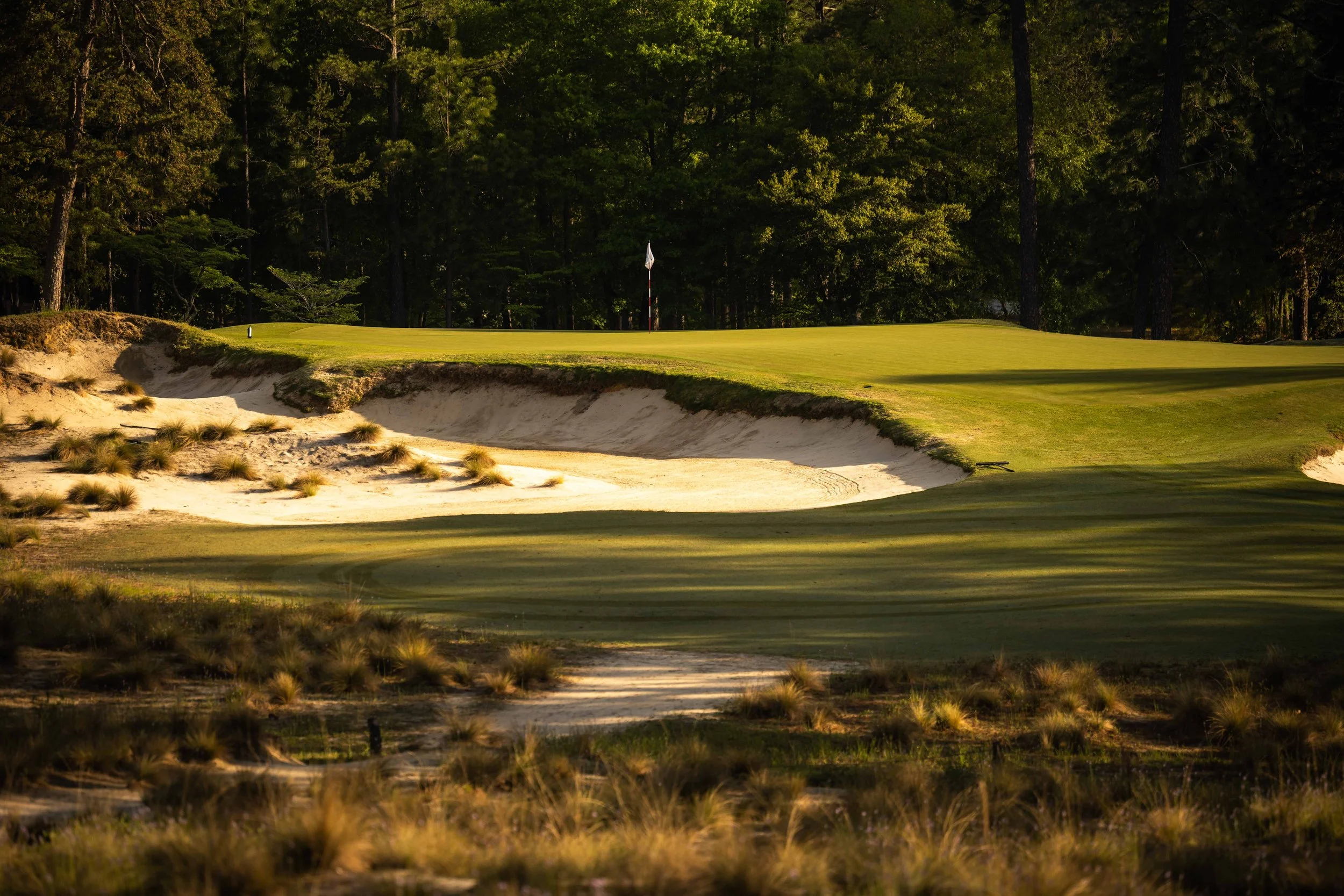 Pinehurst No 2-3706.jpg