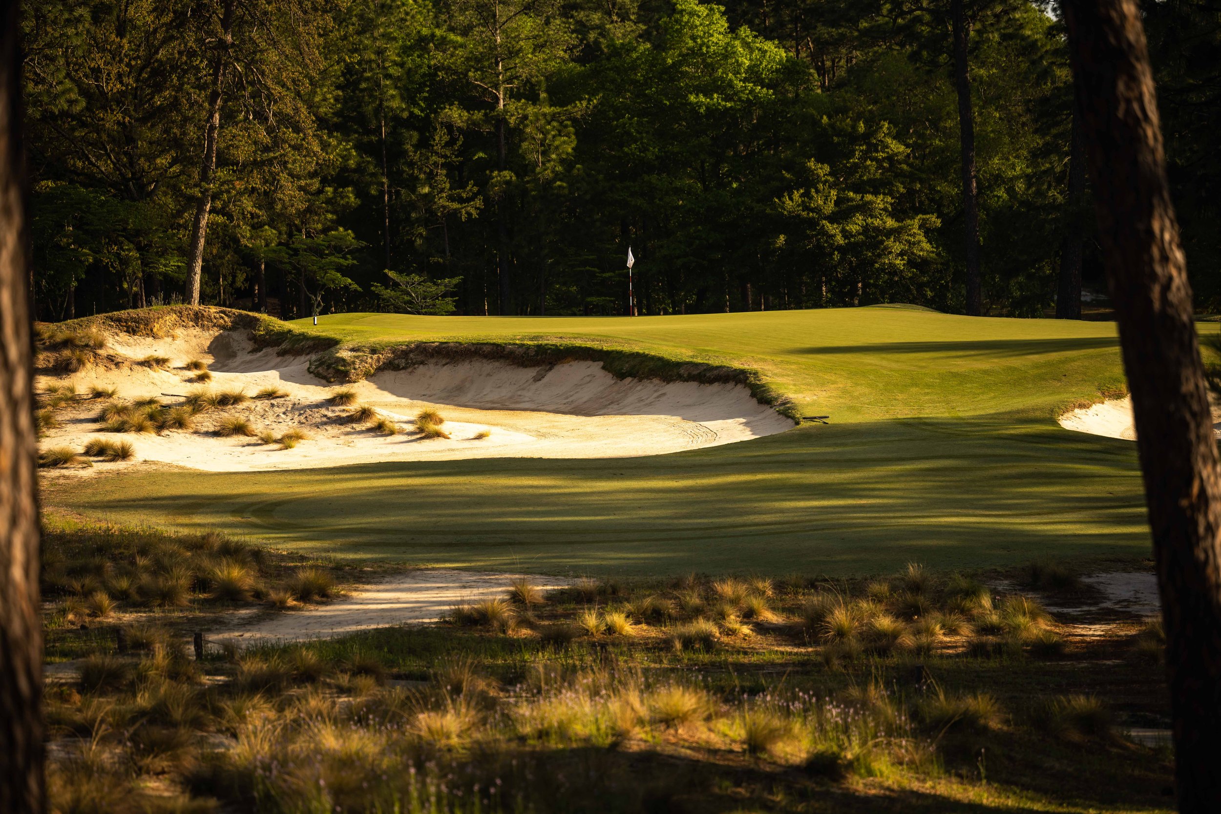 Pinehurst No 2-3712.jpg
