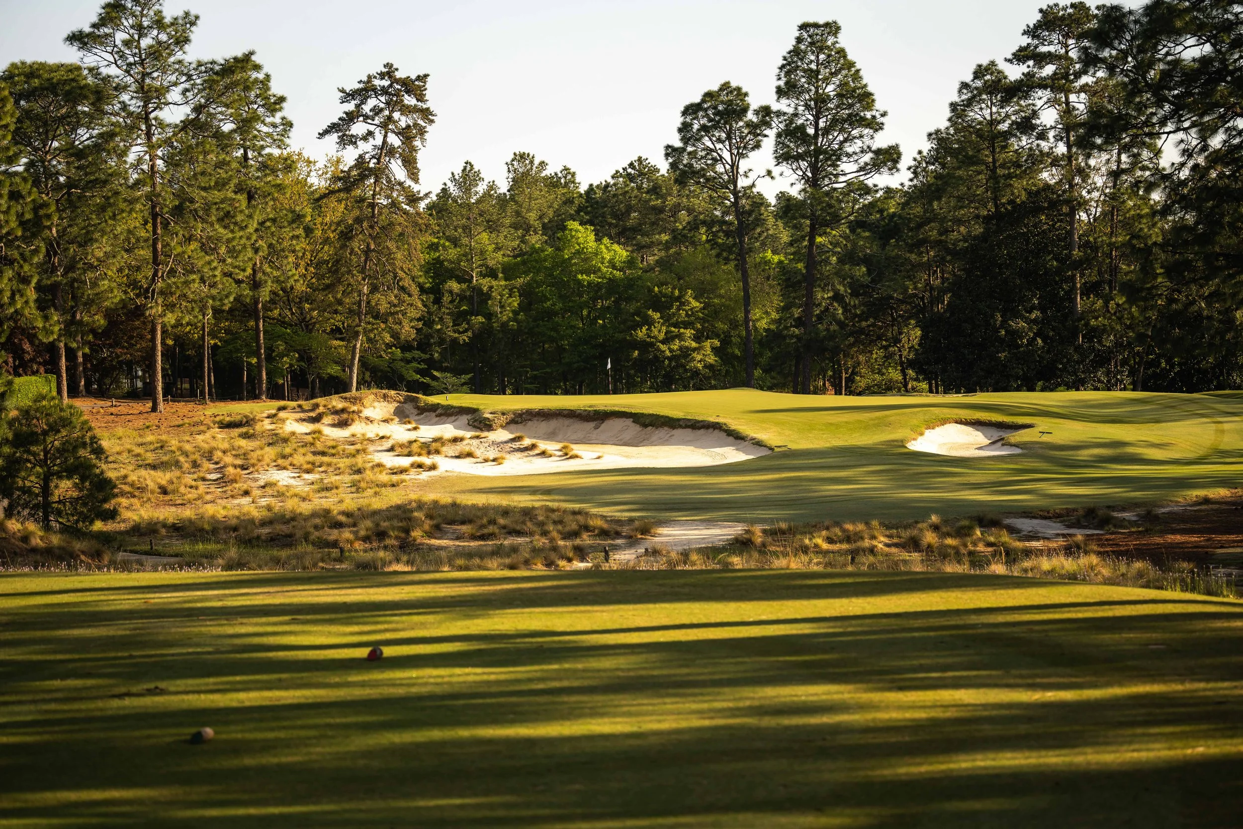 Pinehurst No 2-3717.jpg